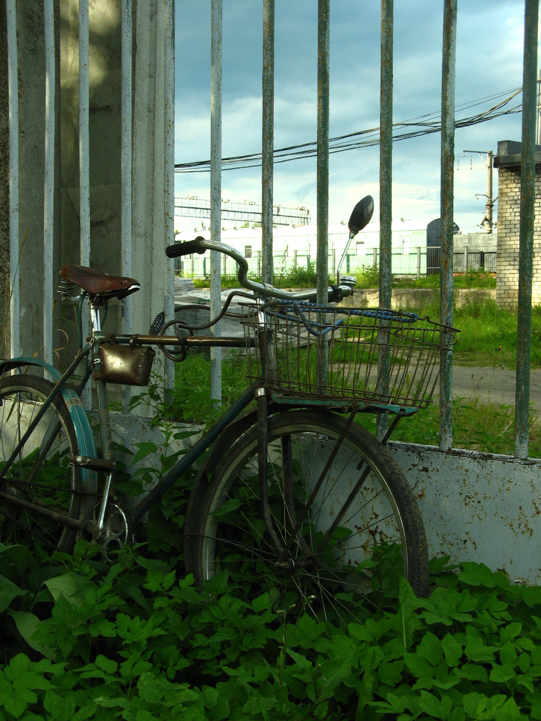 Август 2025. Den Mirov — Фотограф, Музыкант