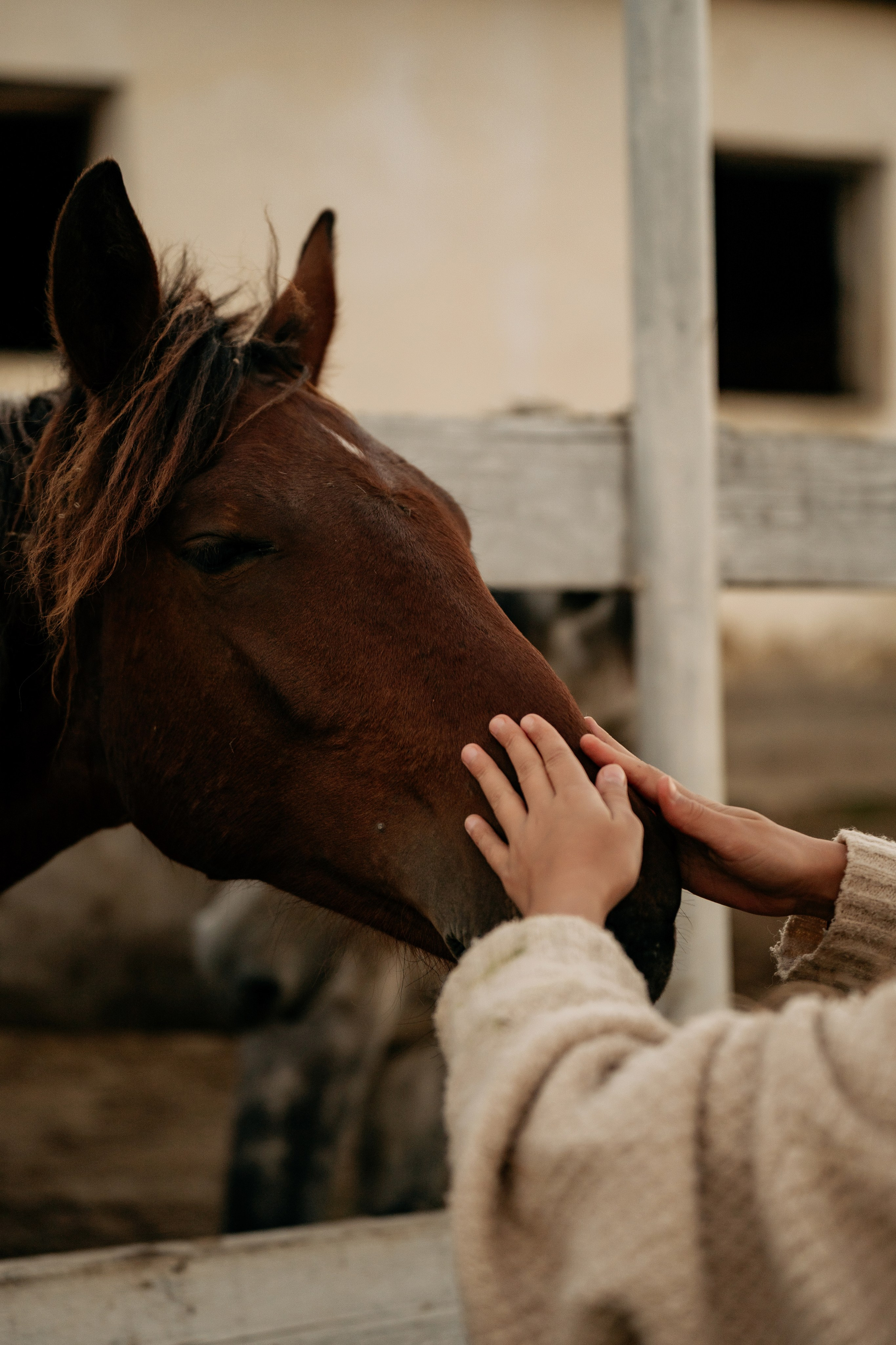 Фотосессия мамы с детьми в Анапе. Эко-тематика: кормление коз и сбор яблок на ферме. Фотограф Анапа.