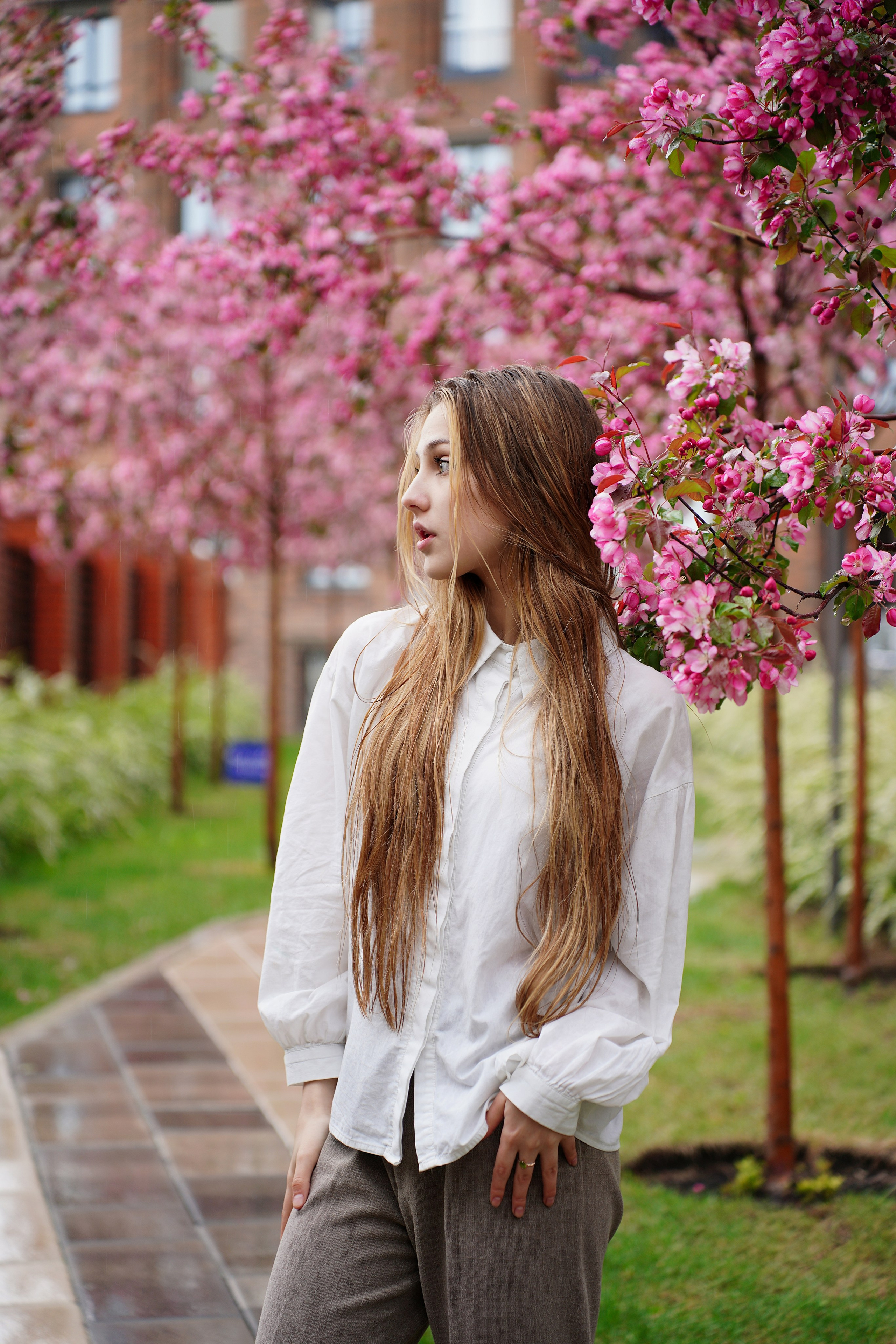 Оля Башкирская Сакура. Pupov.png