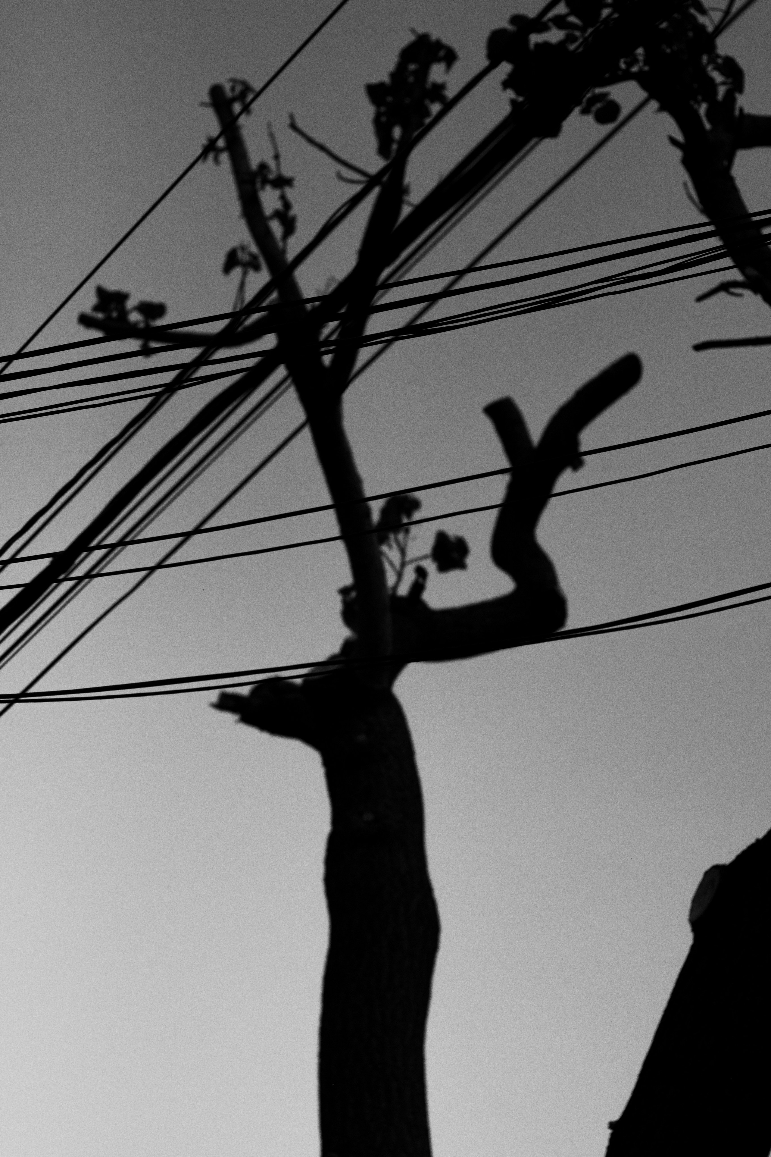 Шмитов Егор