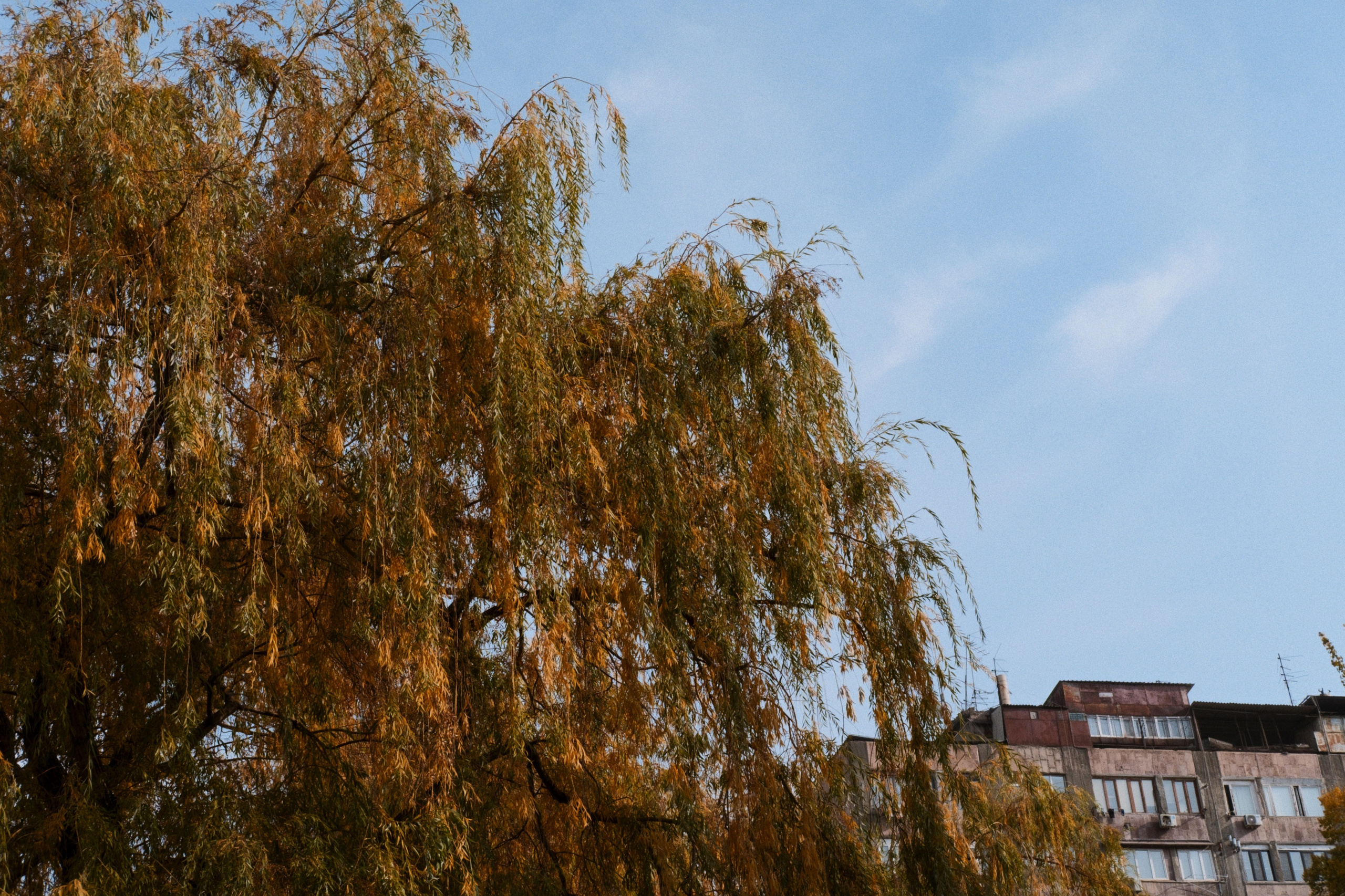 Yerevan / Armenia AW25. Фотограф Юрин Евгений