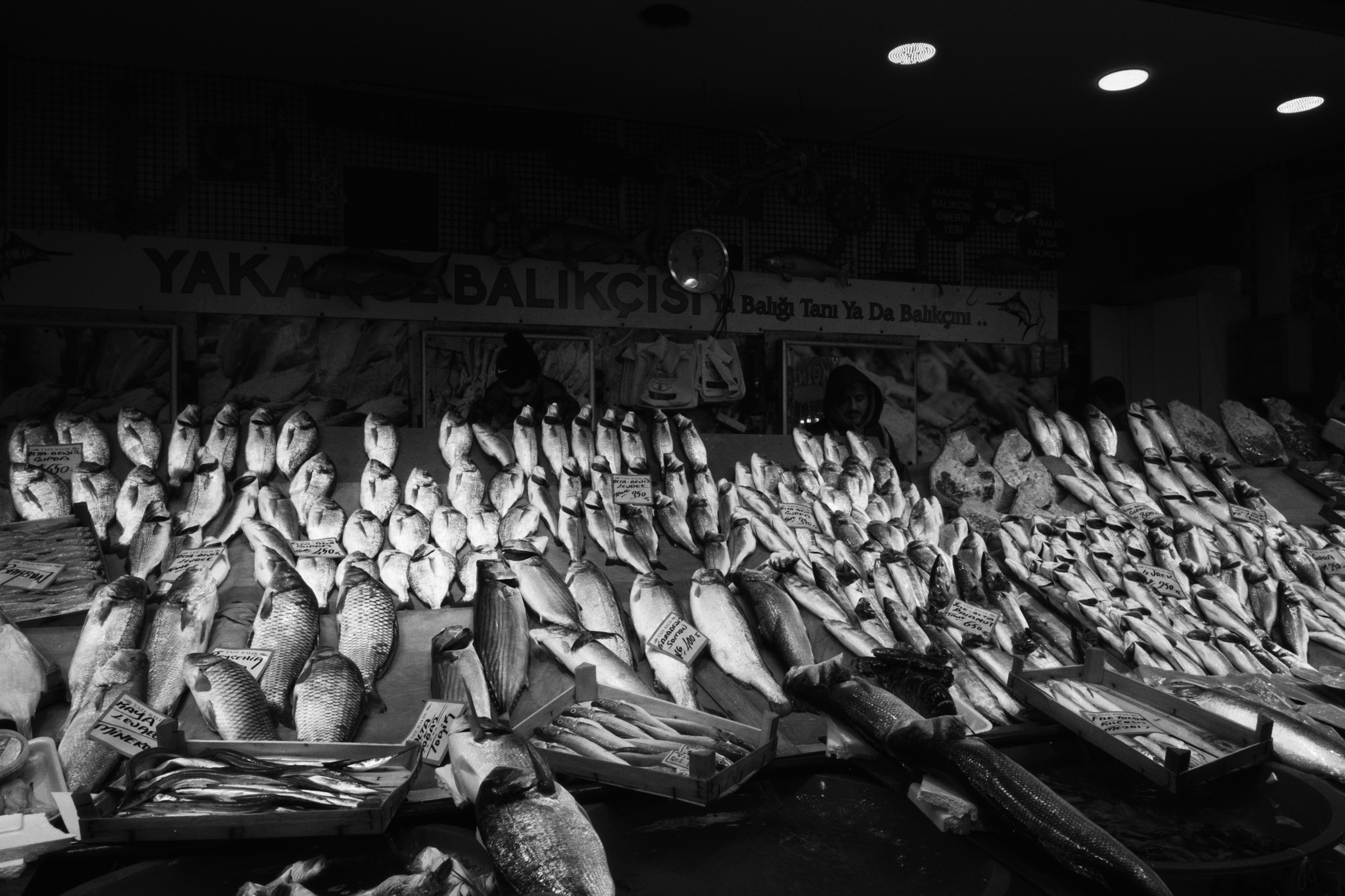 Beyoğlu x Karakoy, Istanbul / Türkey AW26. Фотограф Юрин Евгений