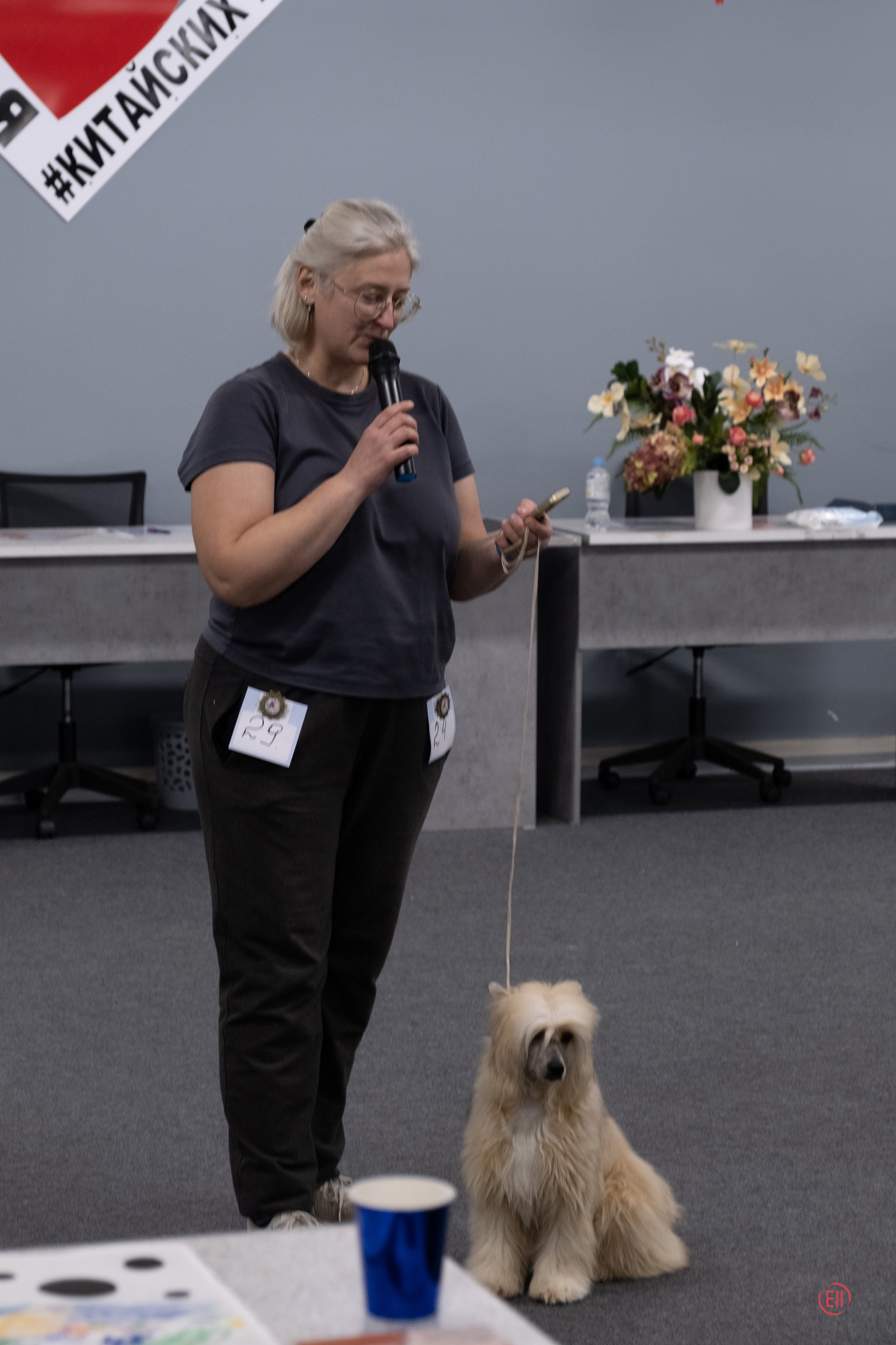 Праздник породы «Яркий мир китайских хохлатых собак». Питомник китайских хохлатых собак Poale Ell: купить щенка