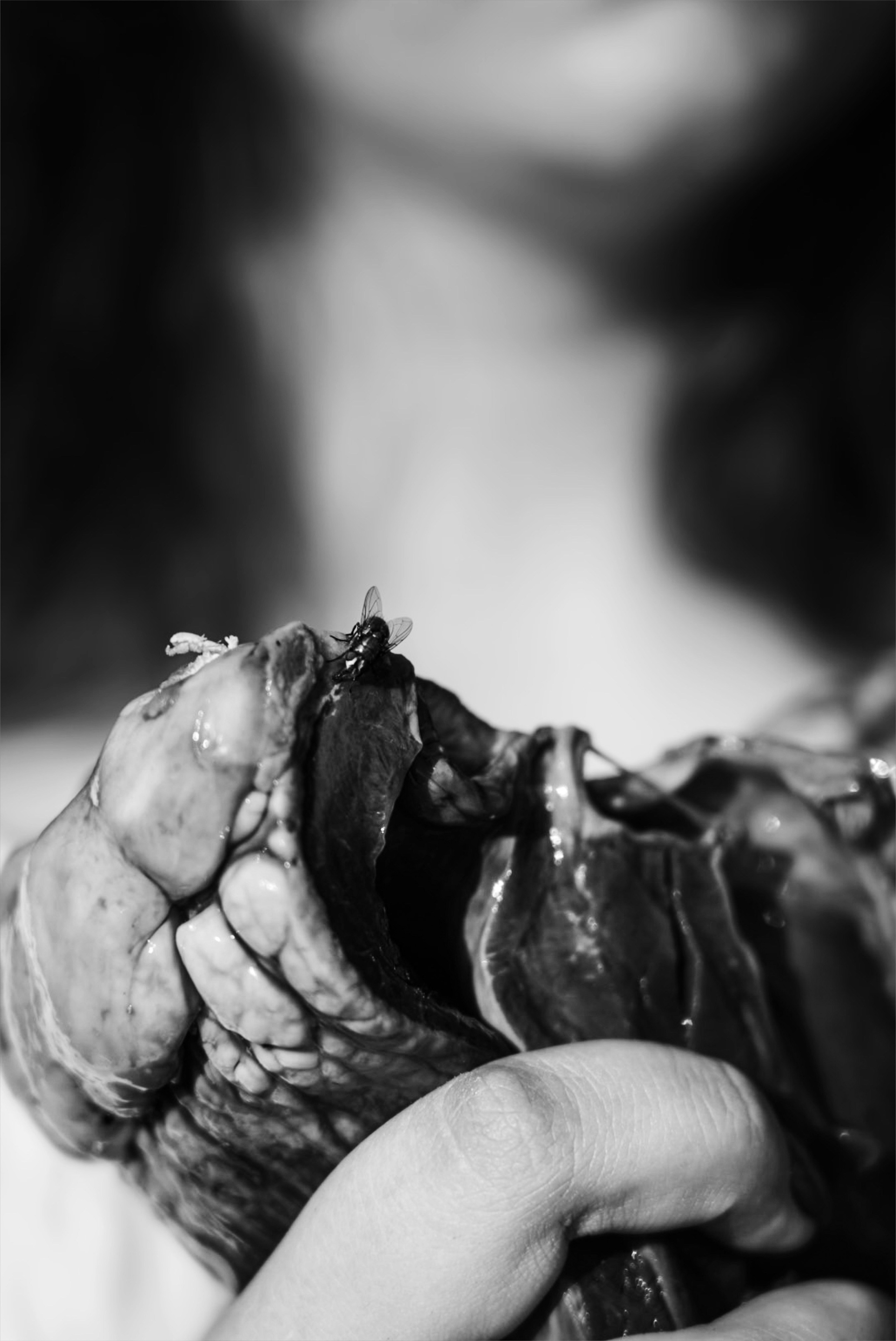 Маша. Фотограф Валерия Витте г. Москва