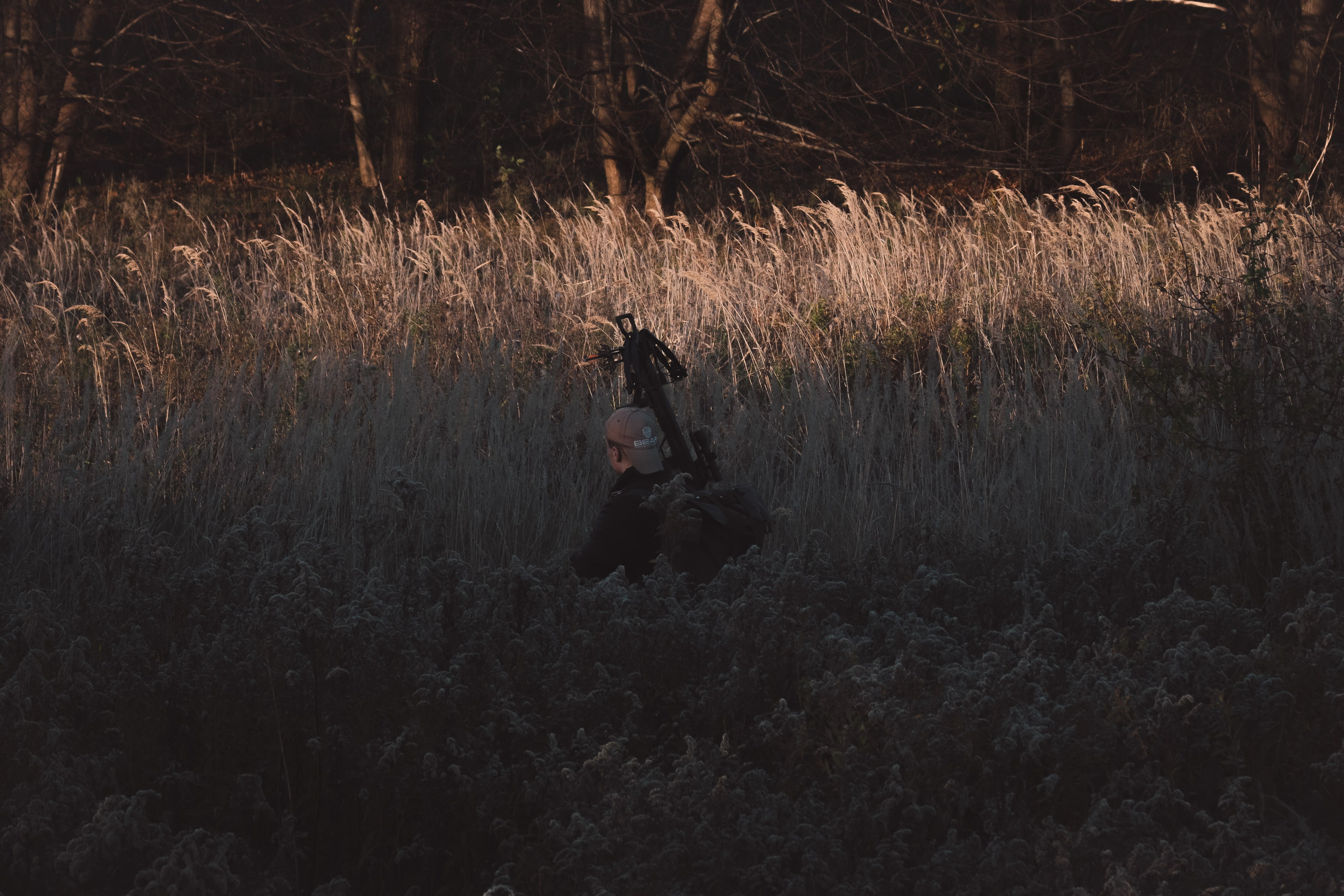 Никита П. (Daryl Dixon). — Digital Noise —