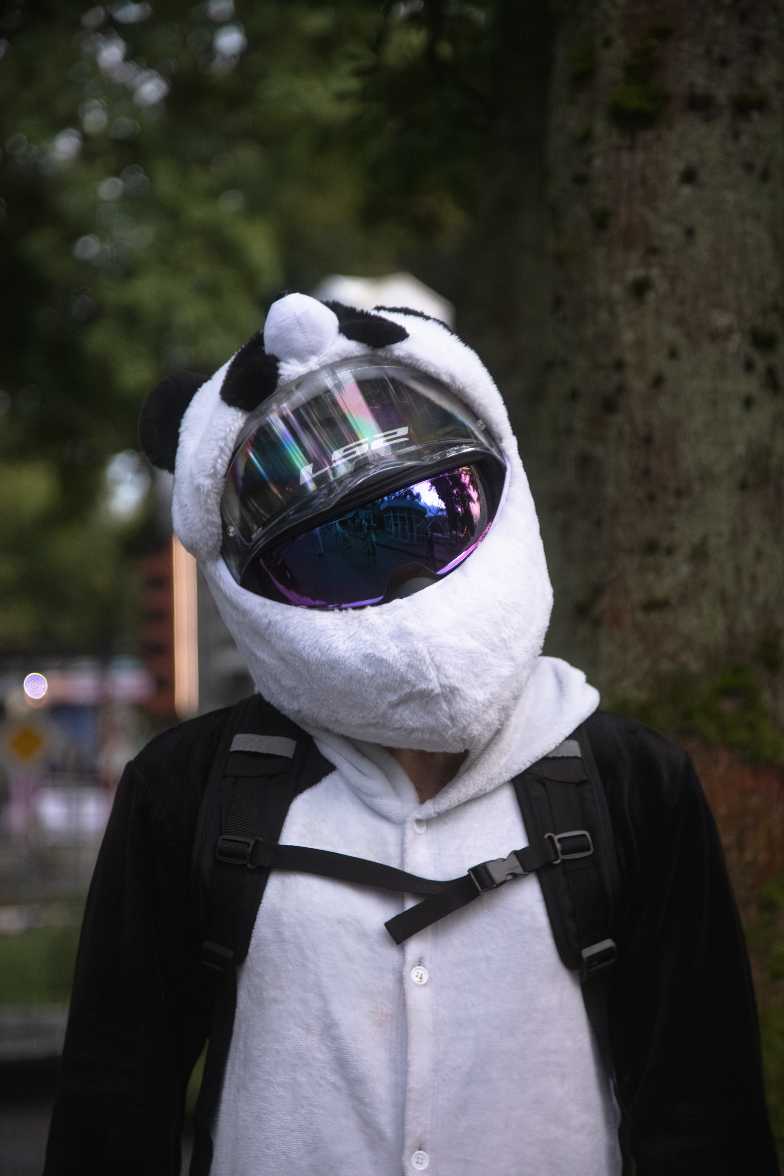 Закрытие Летнего сезона — 2025. — Digital Noise —