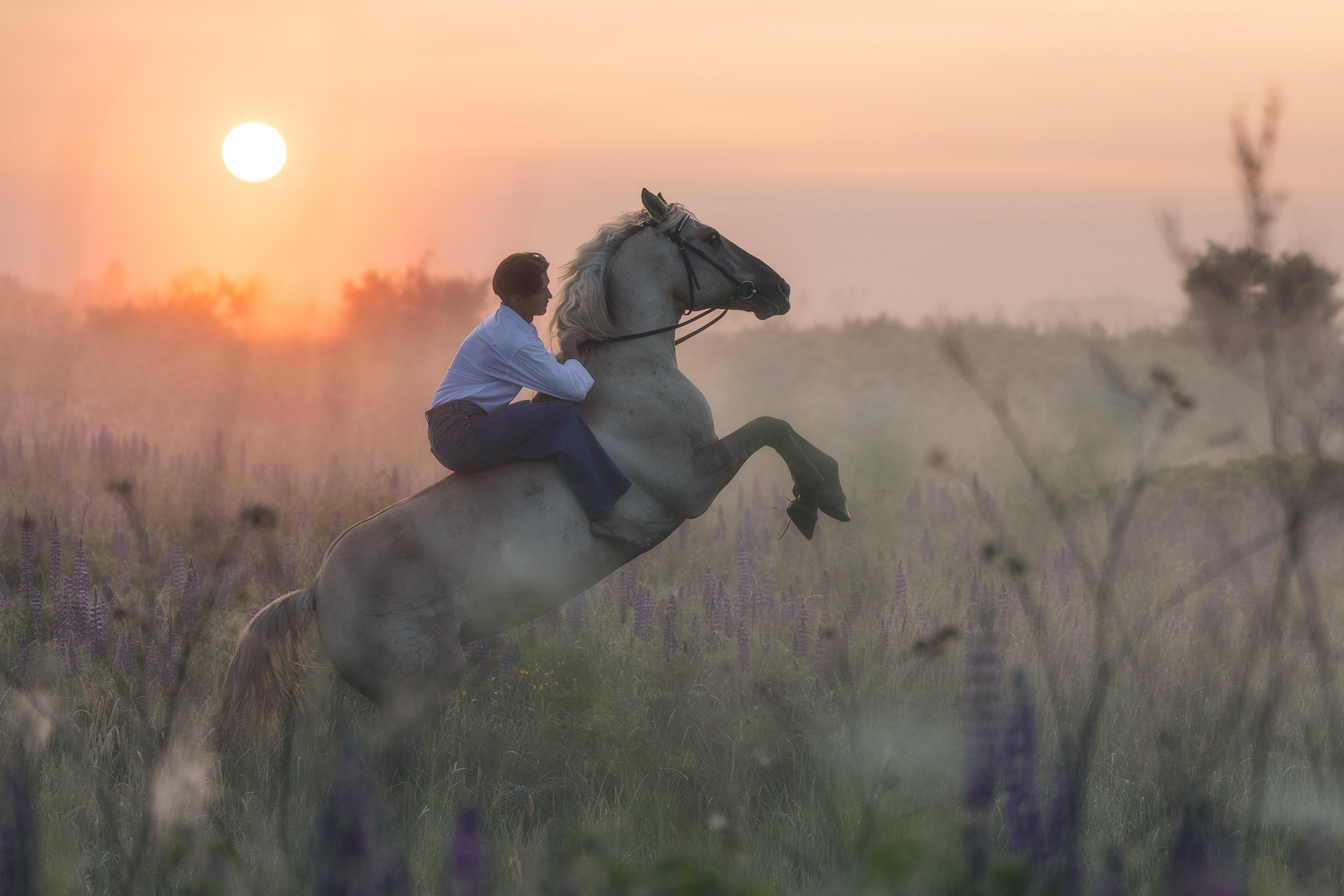 Люди. Фотограф-анималист Юлия Удовенко