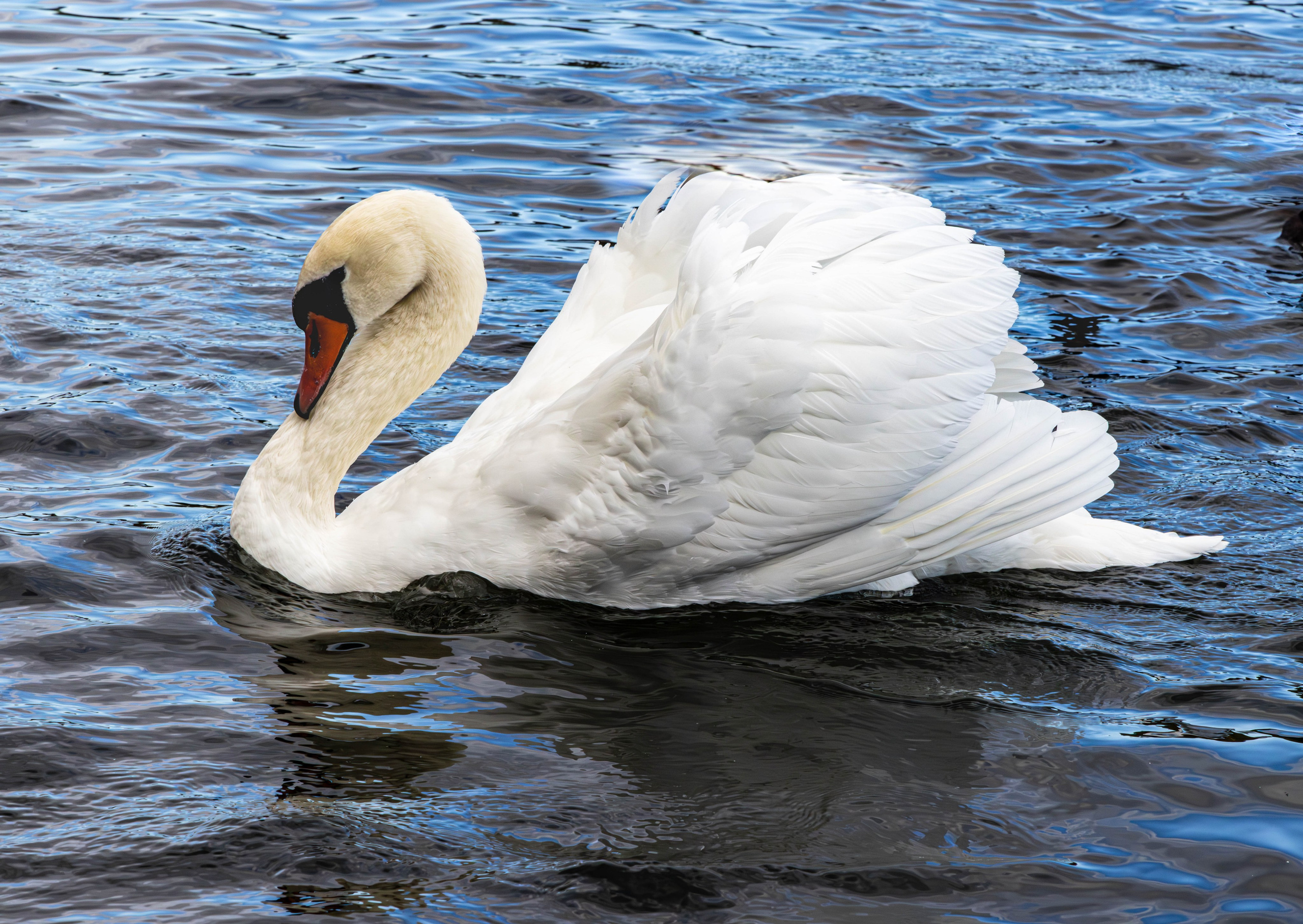 Архитектура и пейзажи. Главная