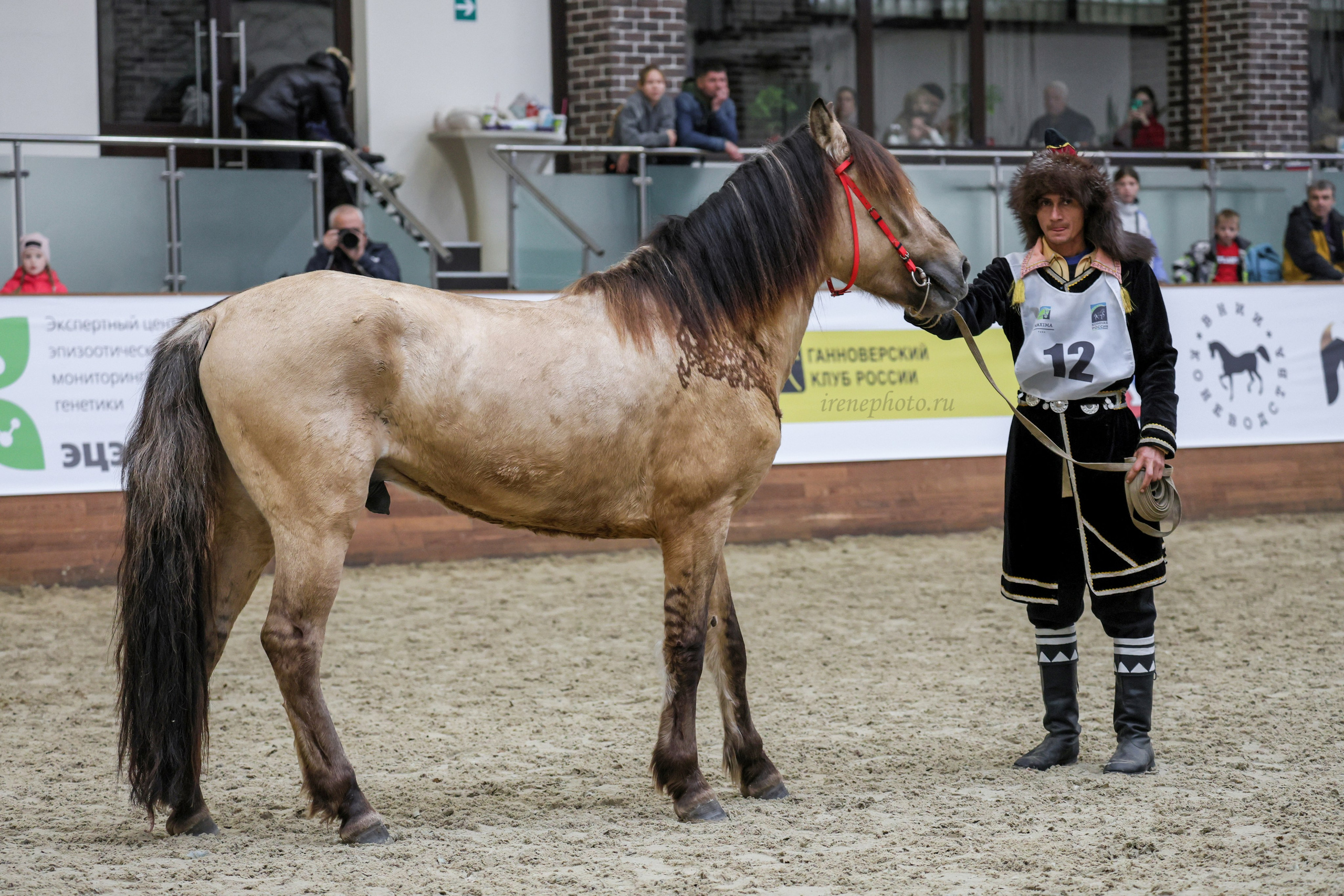 Конная Россия 2024. Irenephoto.ru