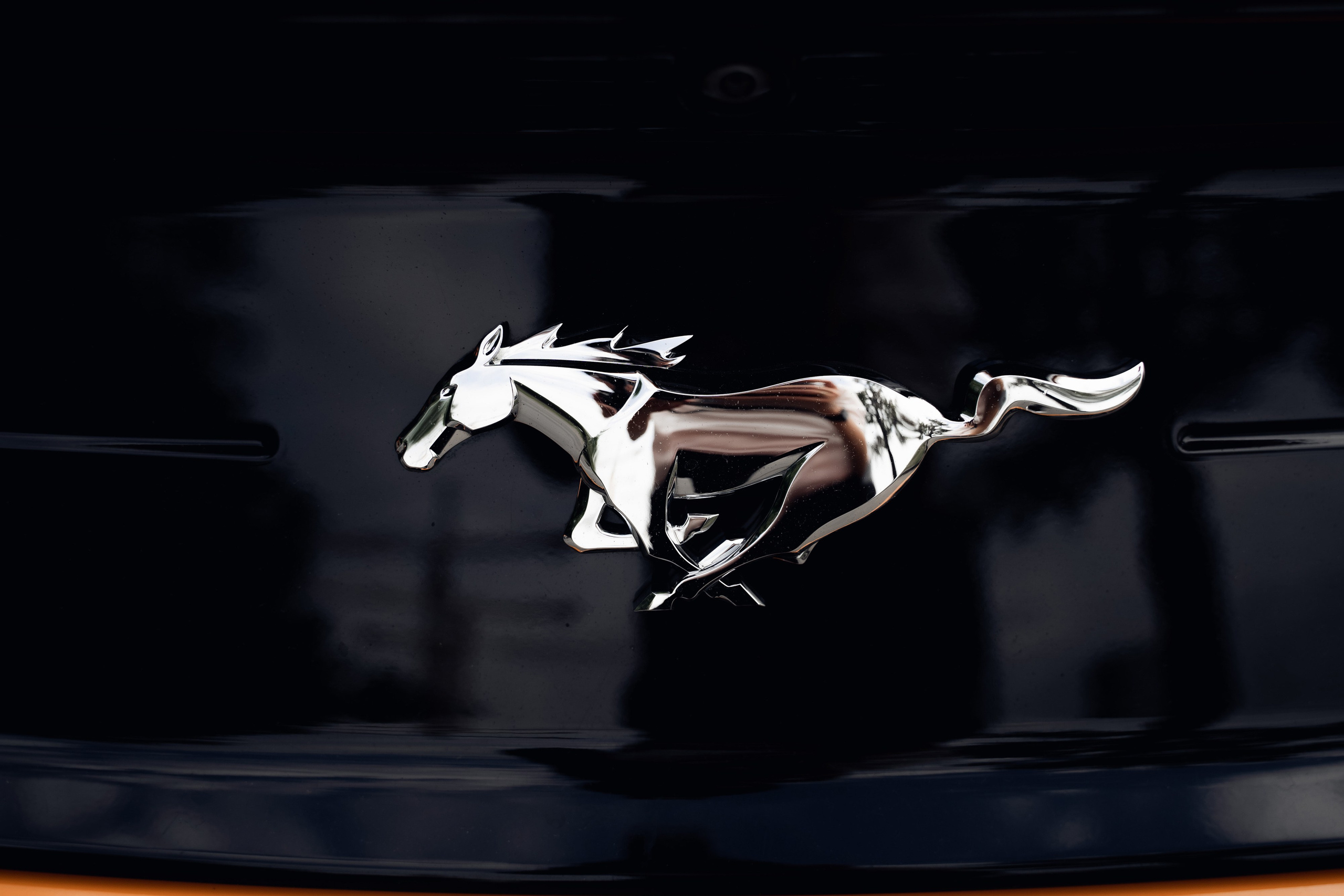 Апельсиновый рай. Свадебный фотограф Москва и МО