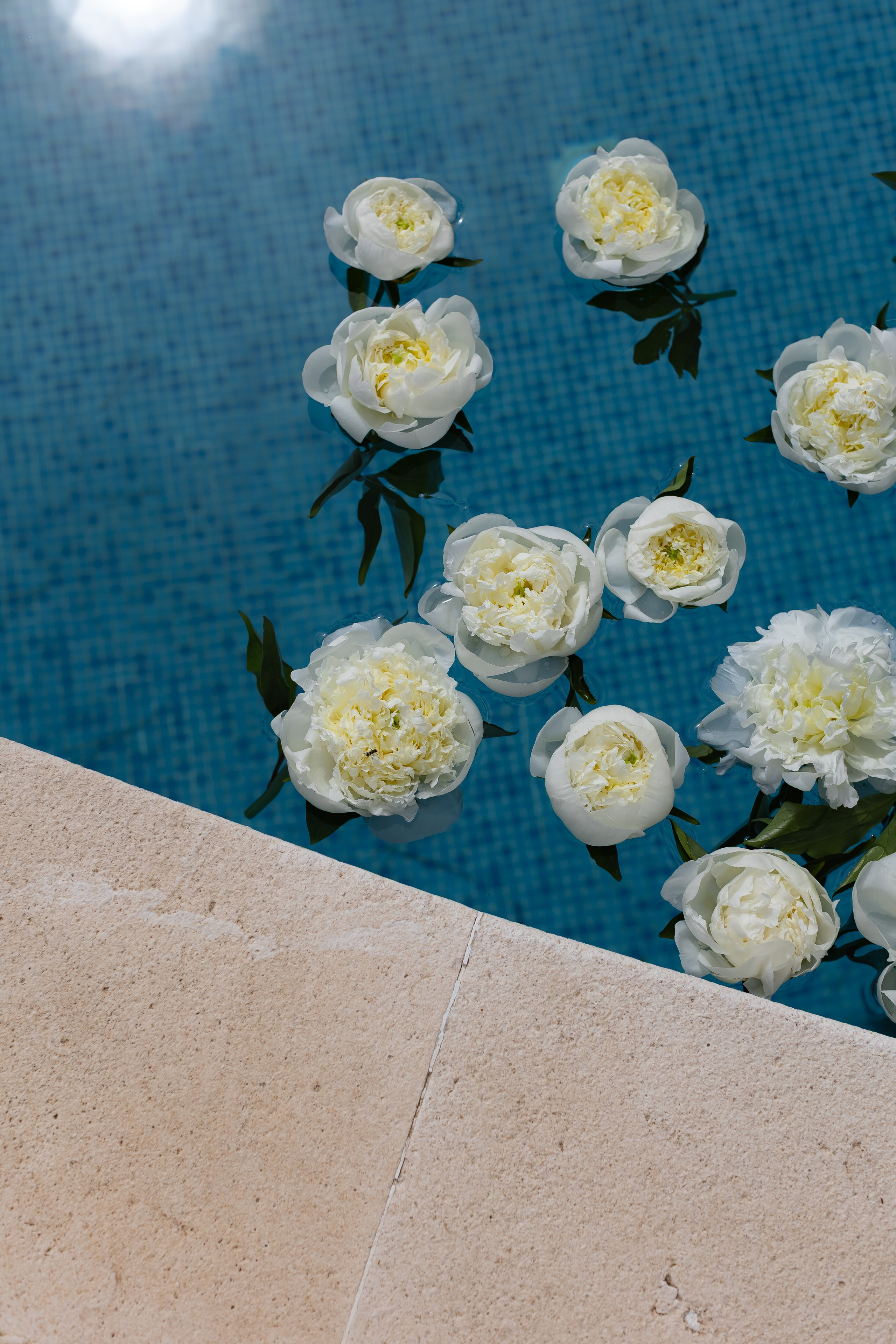 Wedding in Turkey. Wedding photographer Victoria Karpova