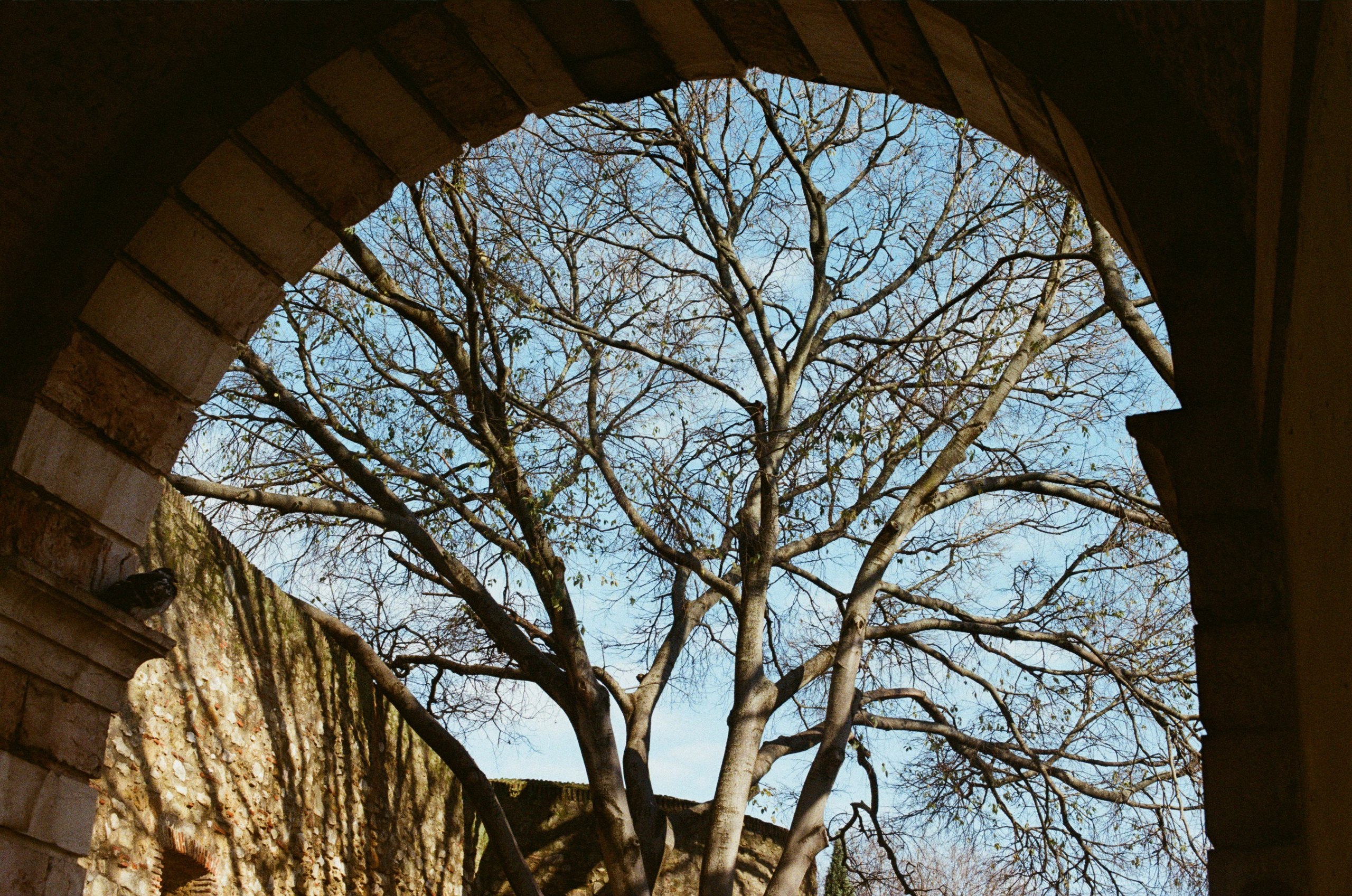 I think i'm ok // portugal, lissabon III. EVER EXPOSED