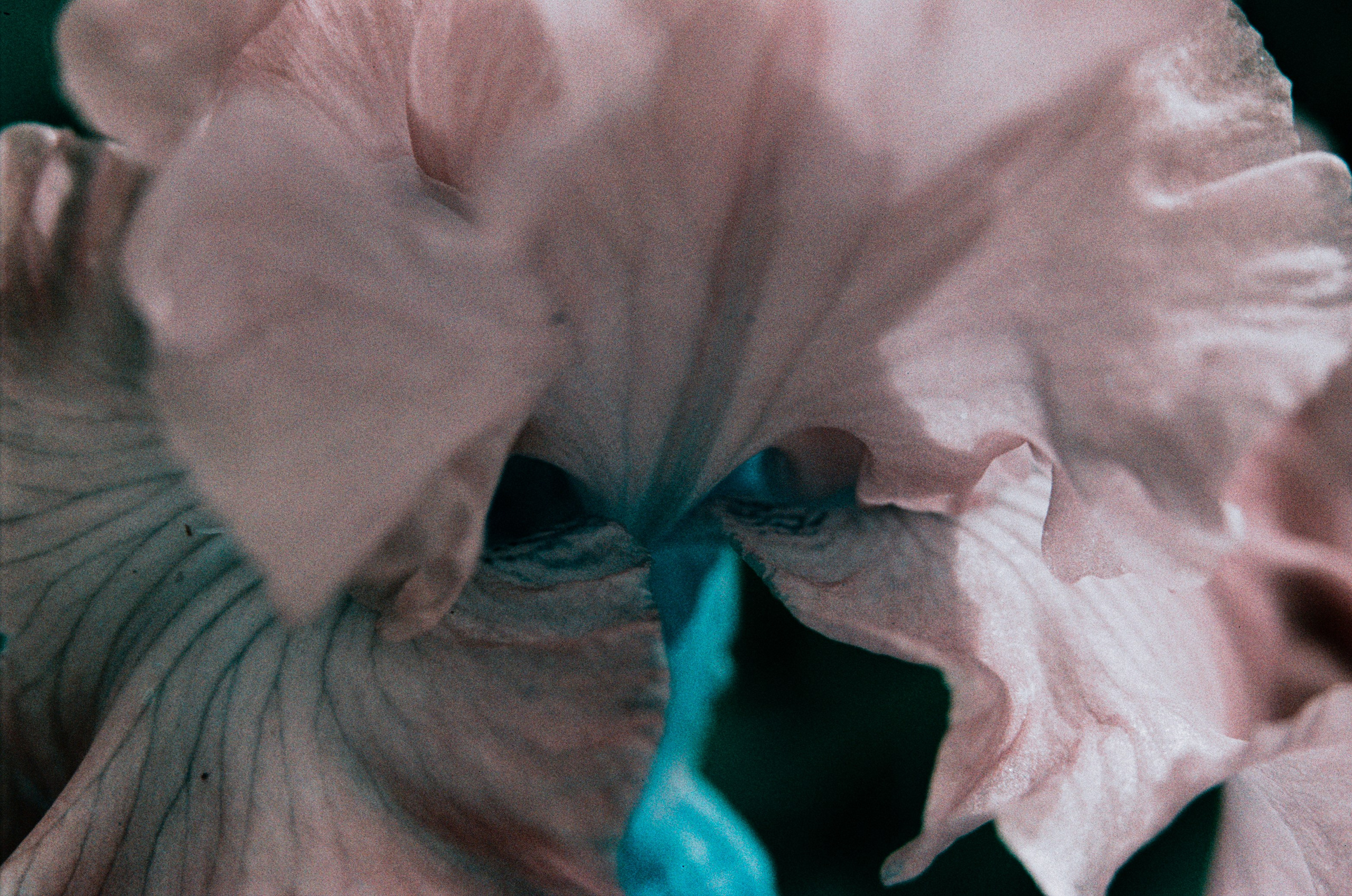 Point of no reply // ukraine, crimea II. EVER EXPOSED