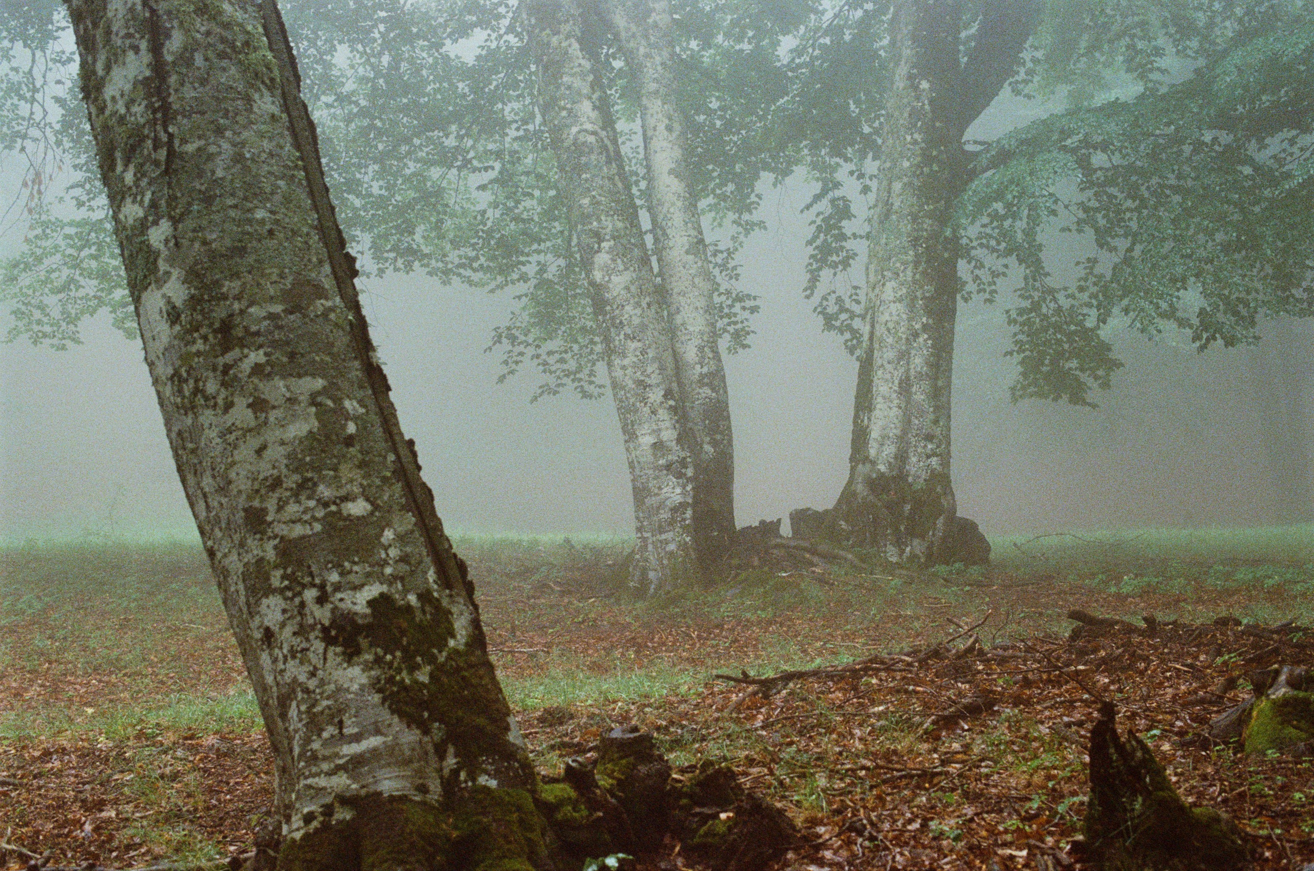 Dig it // ukraine, crimea III. EVER EXPOSED