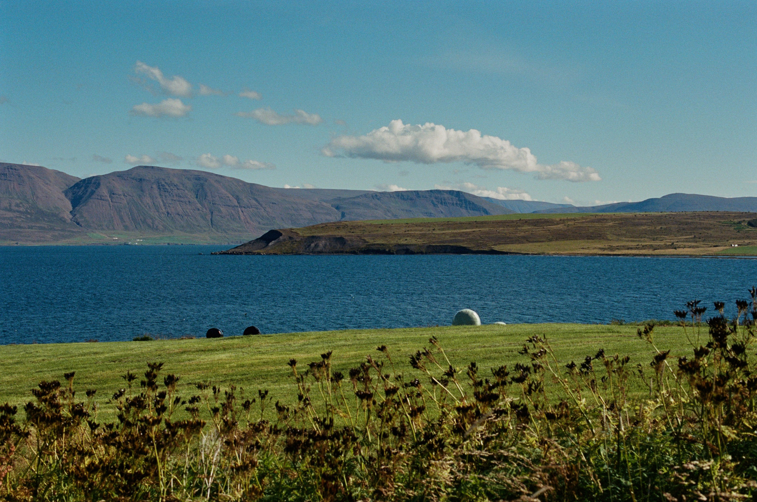 Vor i vaglaskogi // iceland, 82. EVER EXPOSED
