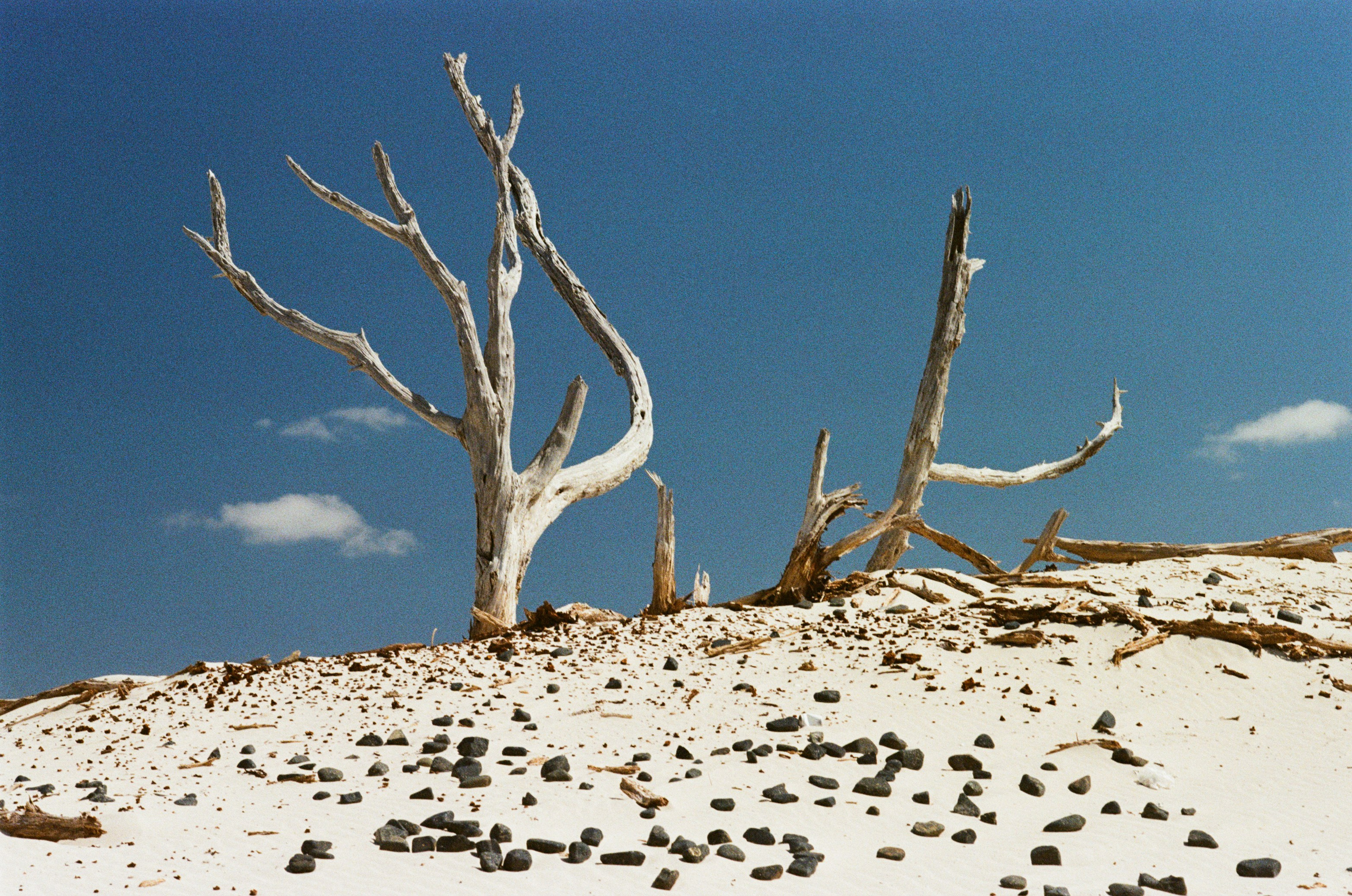 Coraline // sardinia, is arenas biancas II. EVER EXPOSED