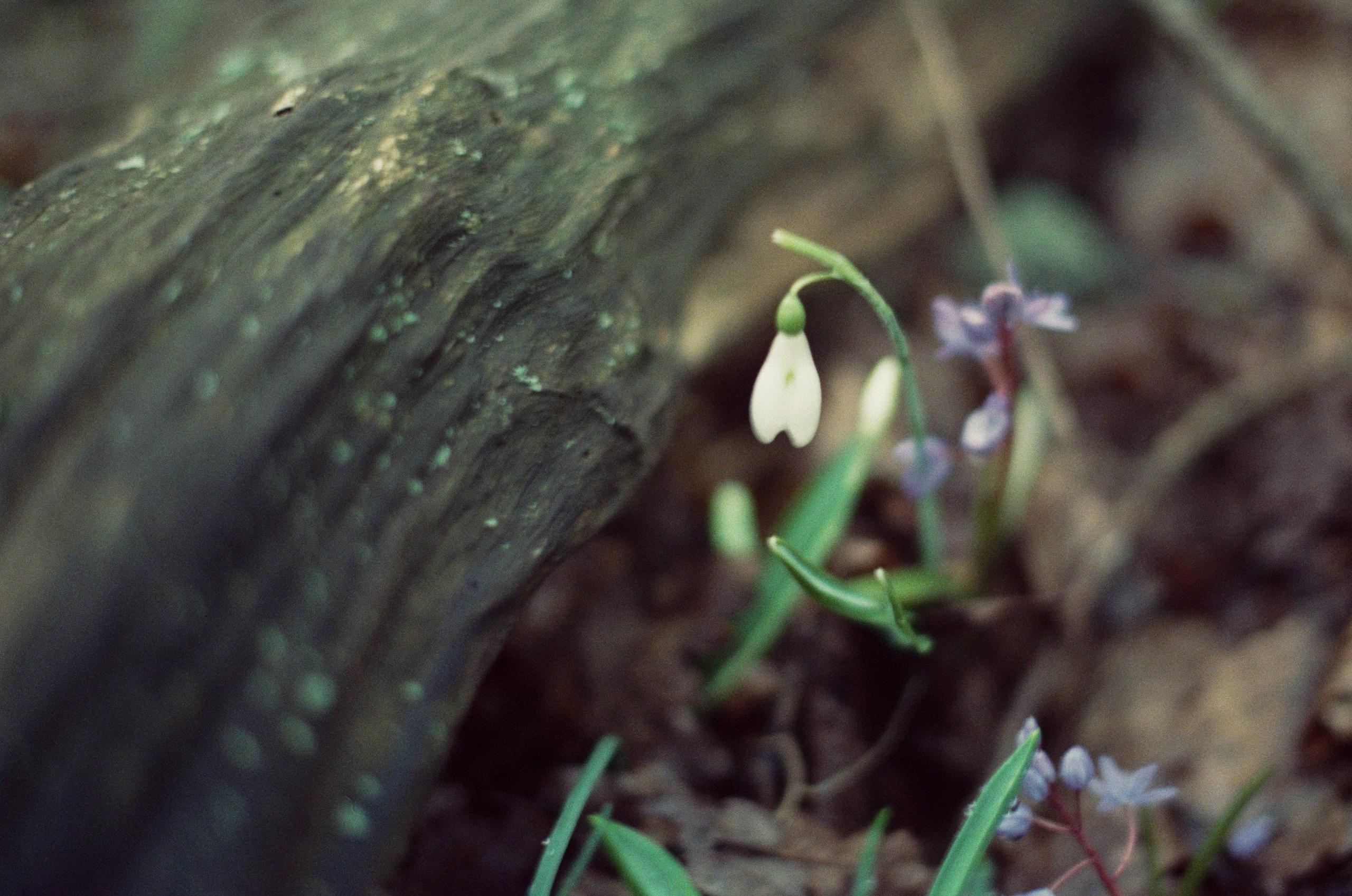 Some kind of madness // ukraine, crimea. EVER EXPOSED