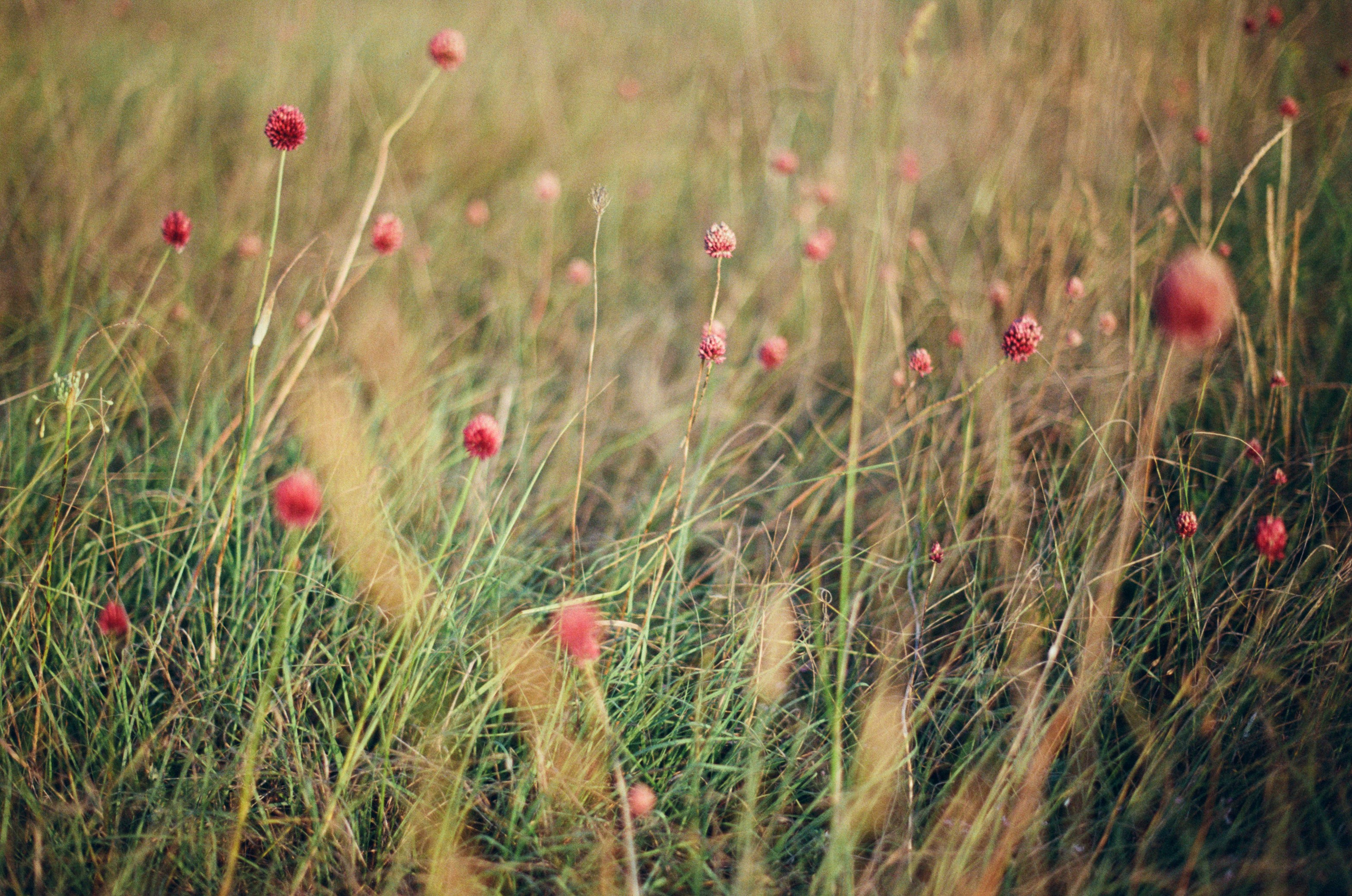 Silent running // ukraine, crimea III. EVER EXPOSED