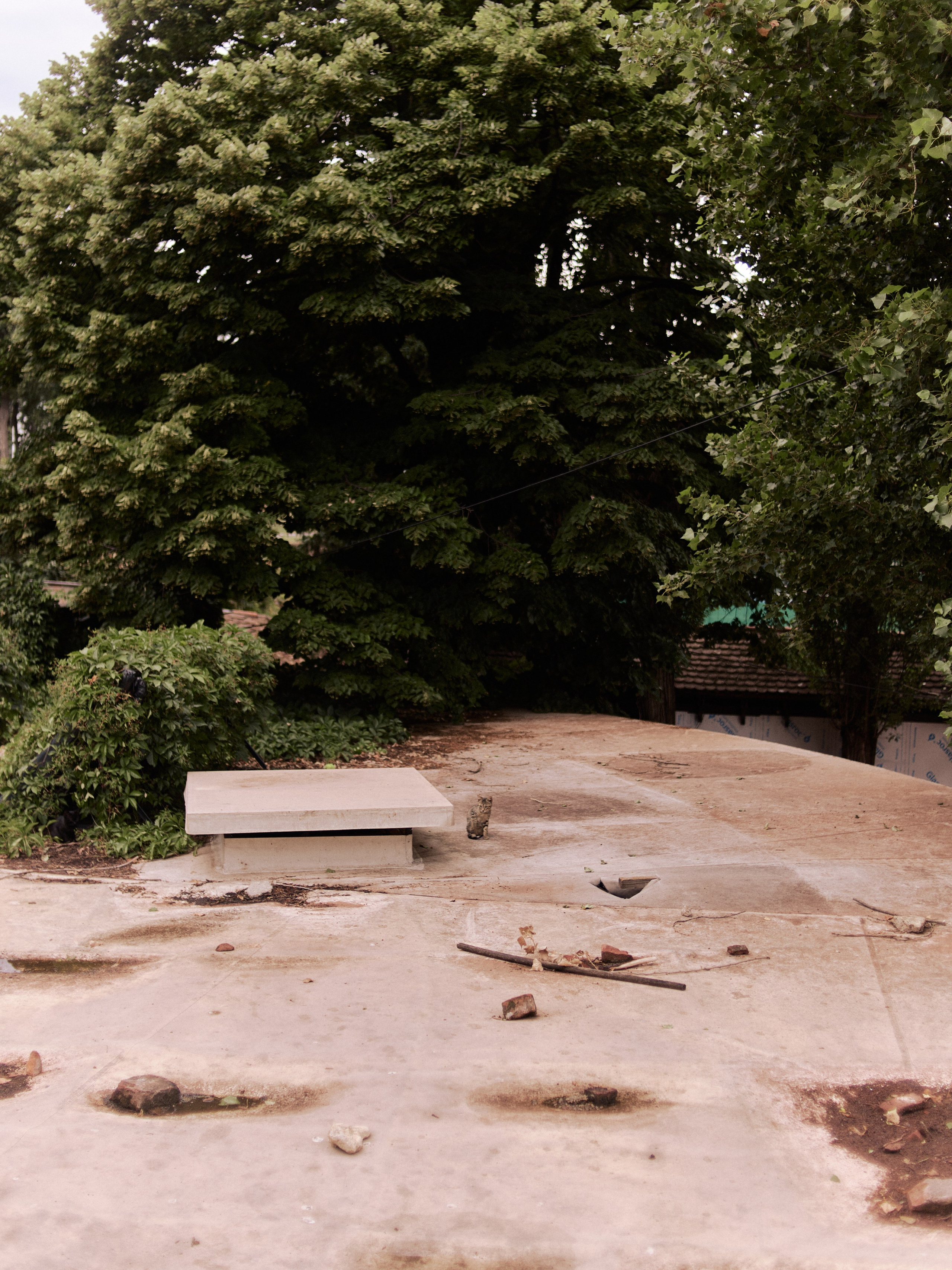 Другое 5. Jorgis — фотограф в Хургаде / обучение фотографии