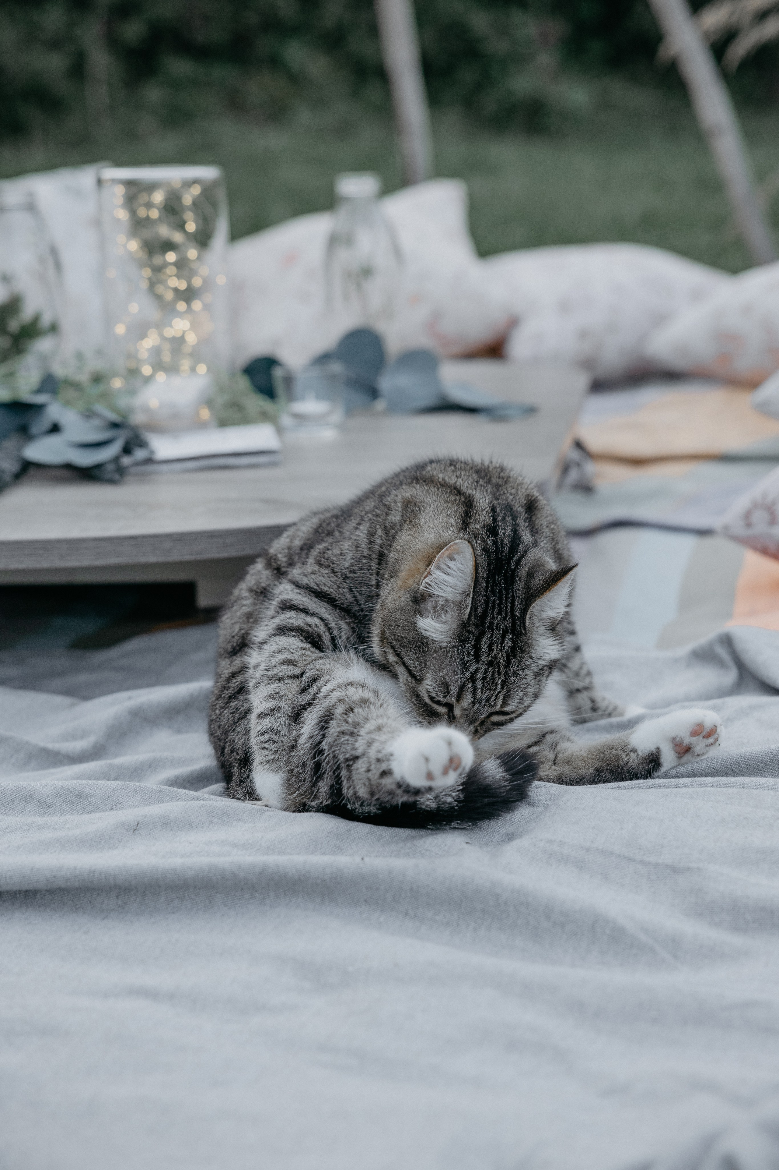 Свадебная фотосессия. Свадебный фотограф в Иваново Гитарина Черняева