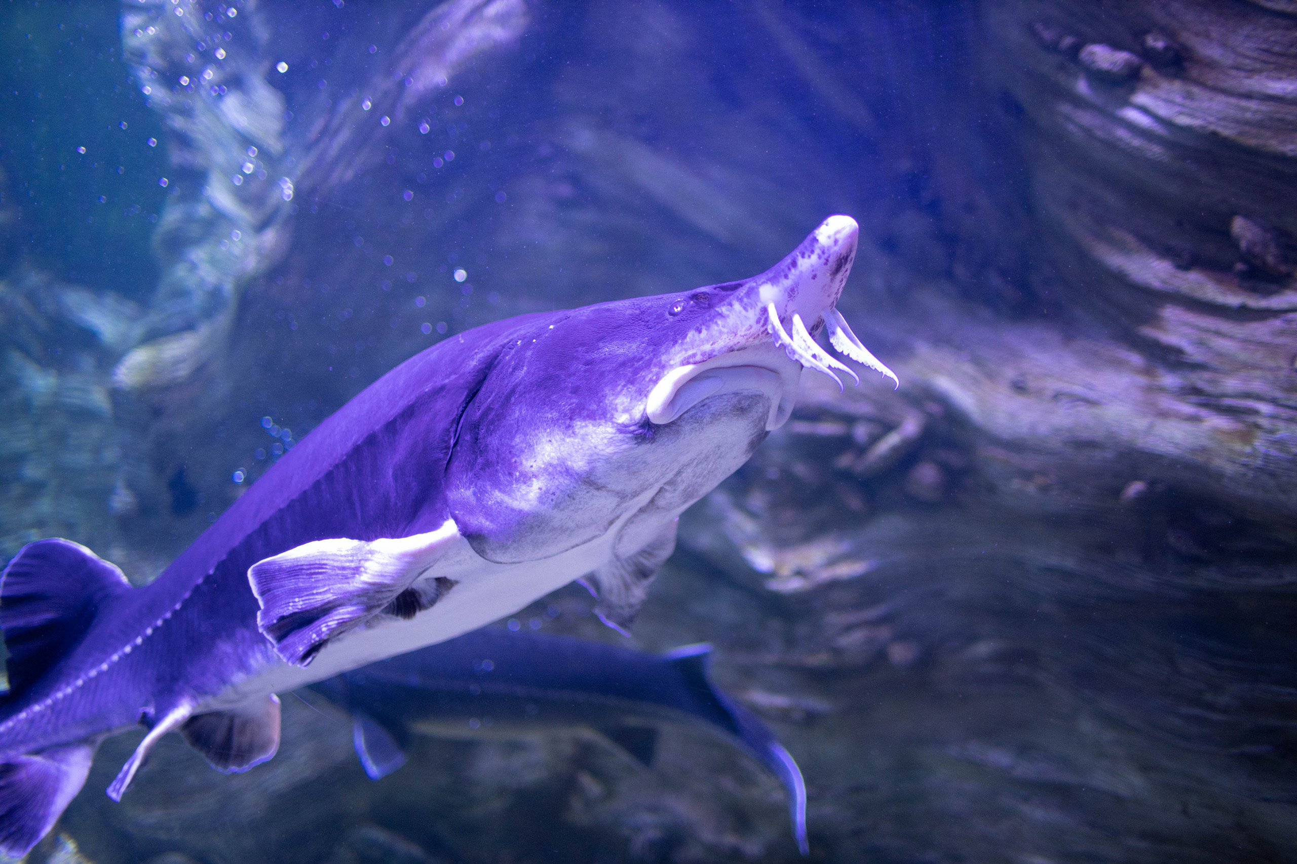 Отзывы. Детский и семейный фотограф в Твери Ольга Крестьянинова