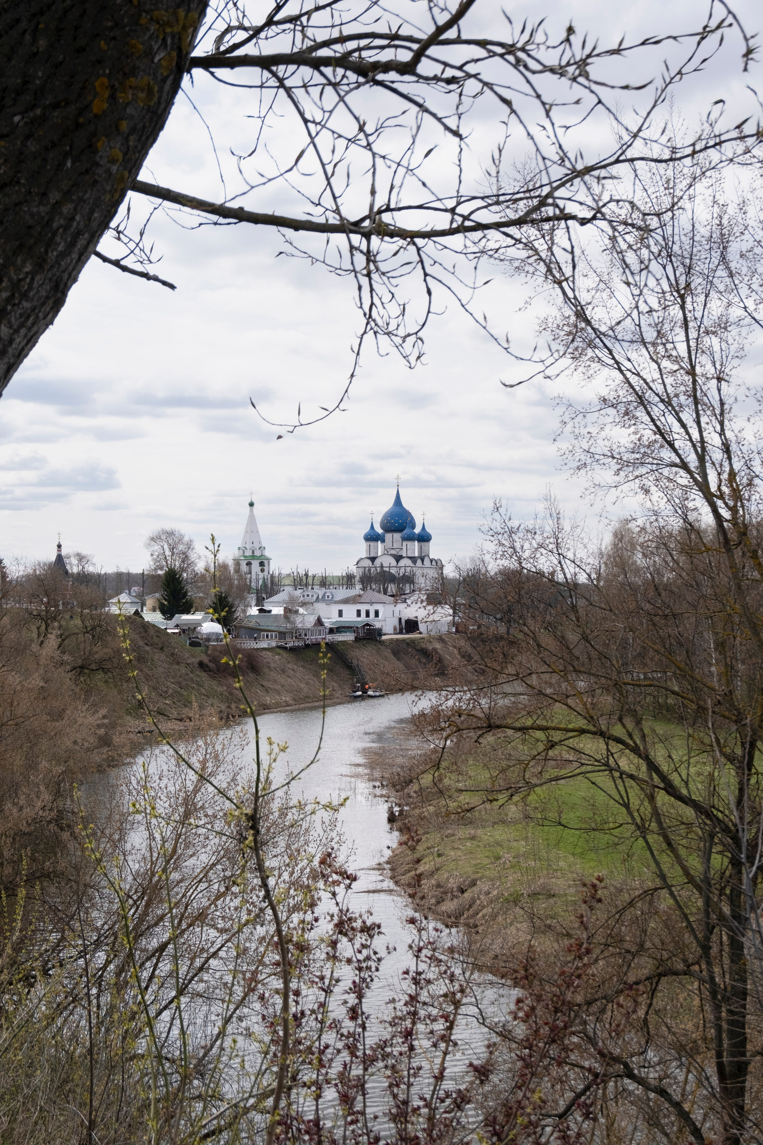 Суздаль. Фотографии города, архитектуры, цветов, макро, кошек. Москва