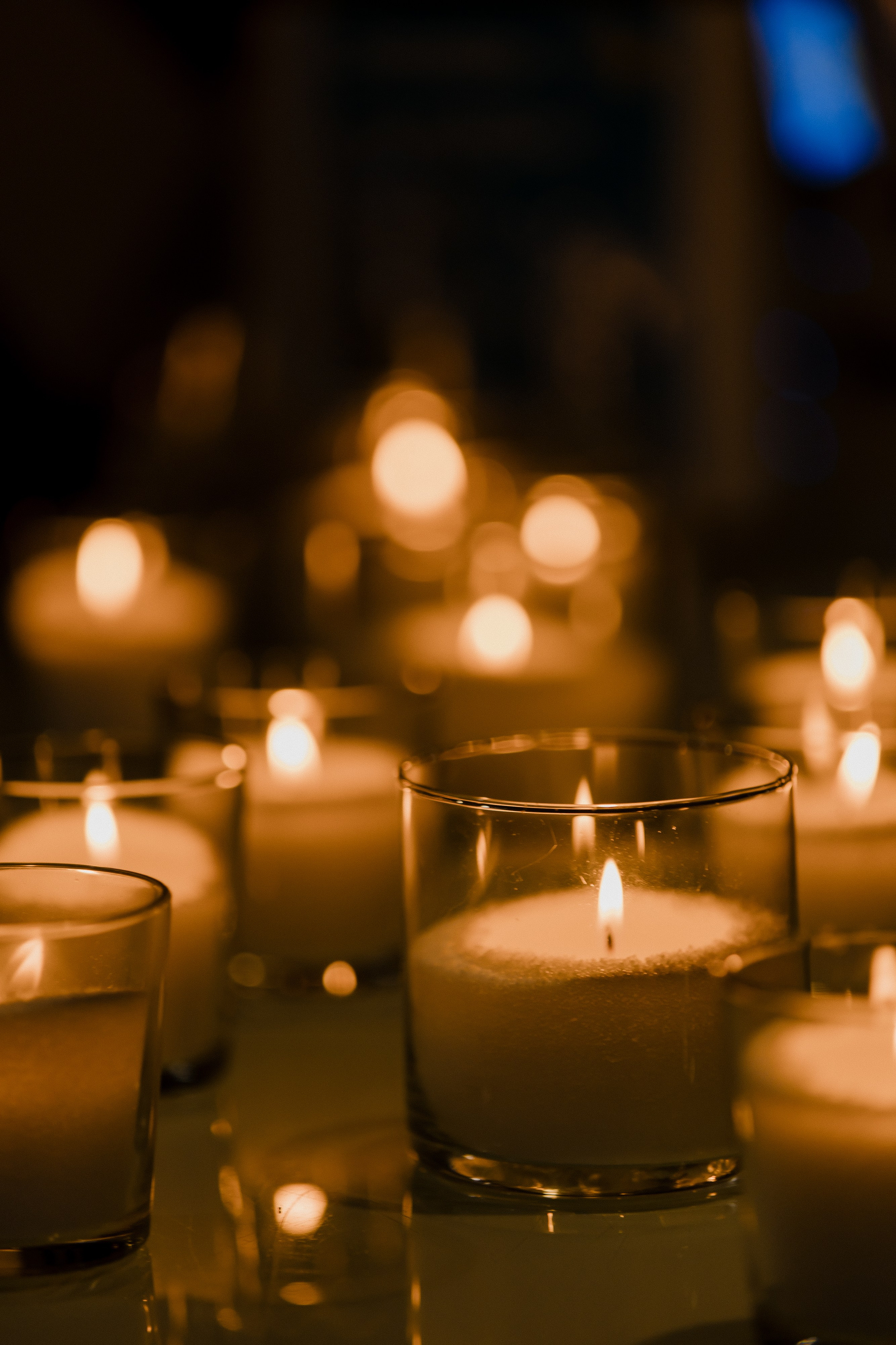 Инвест Ёлка. LEVORIGINAL