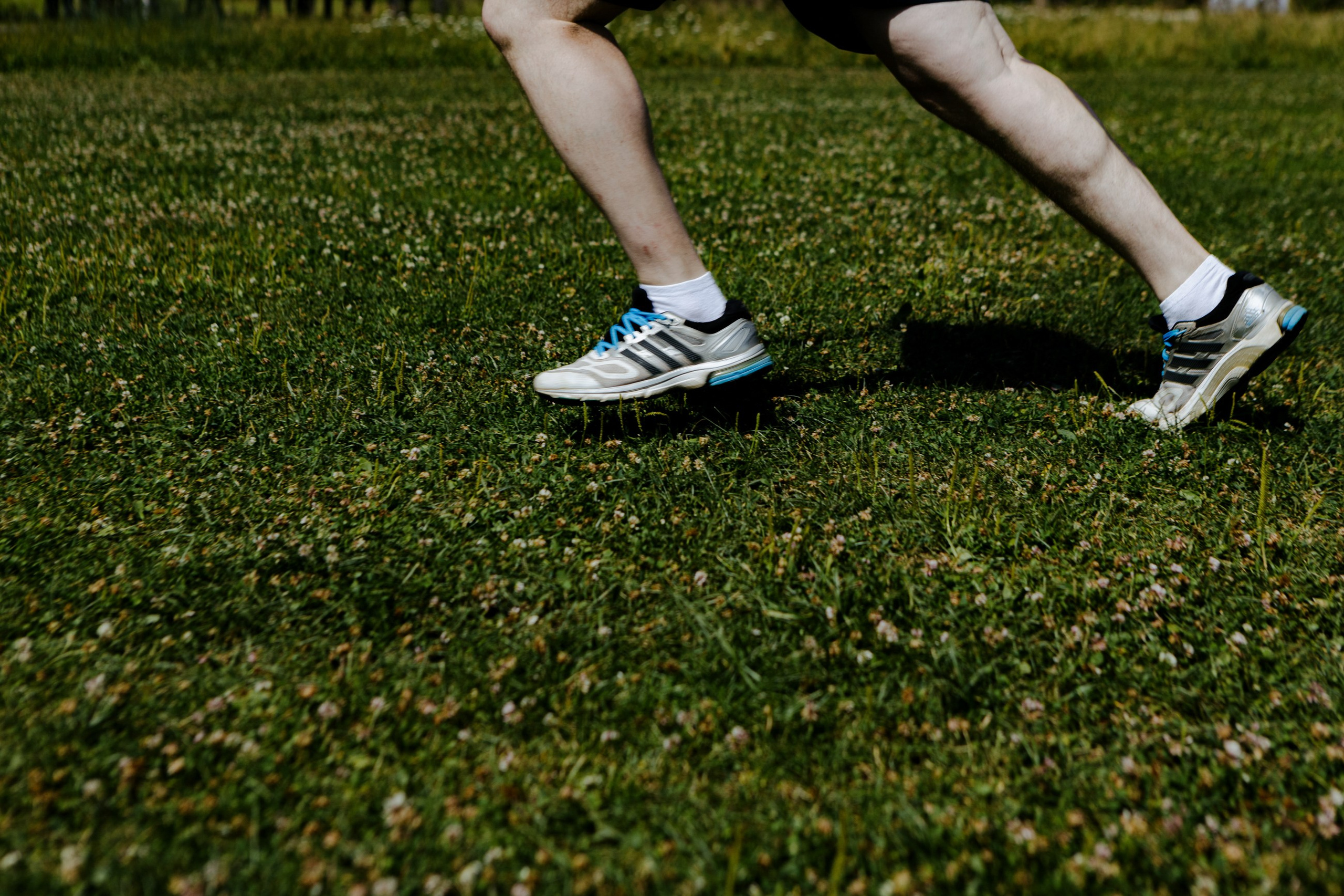 МС груп корпоратив. LEVORIGINAL