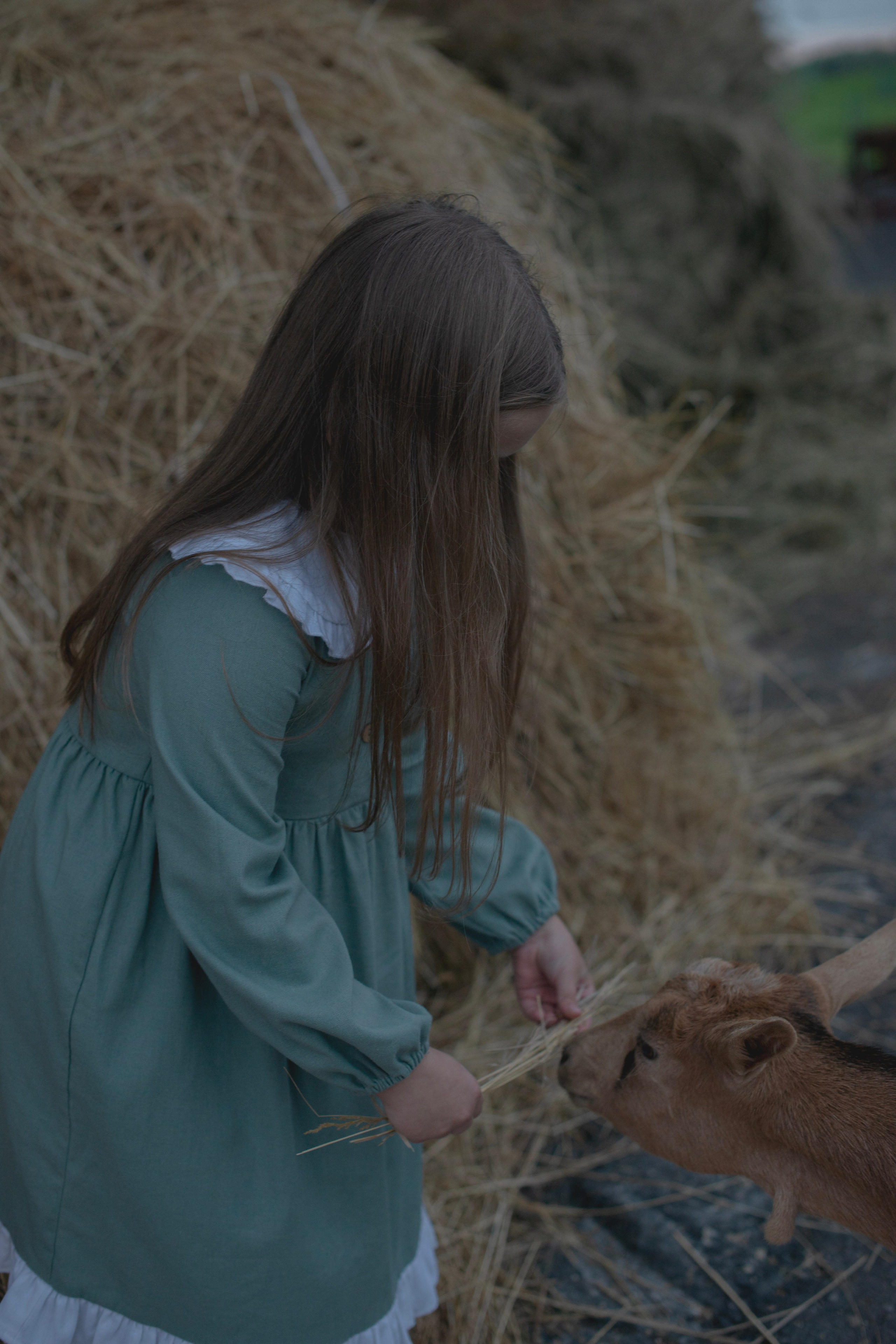 Сестры. Женский, детский и семейный фотограф