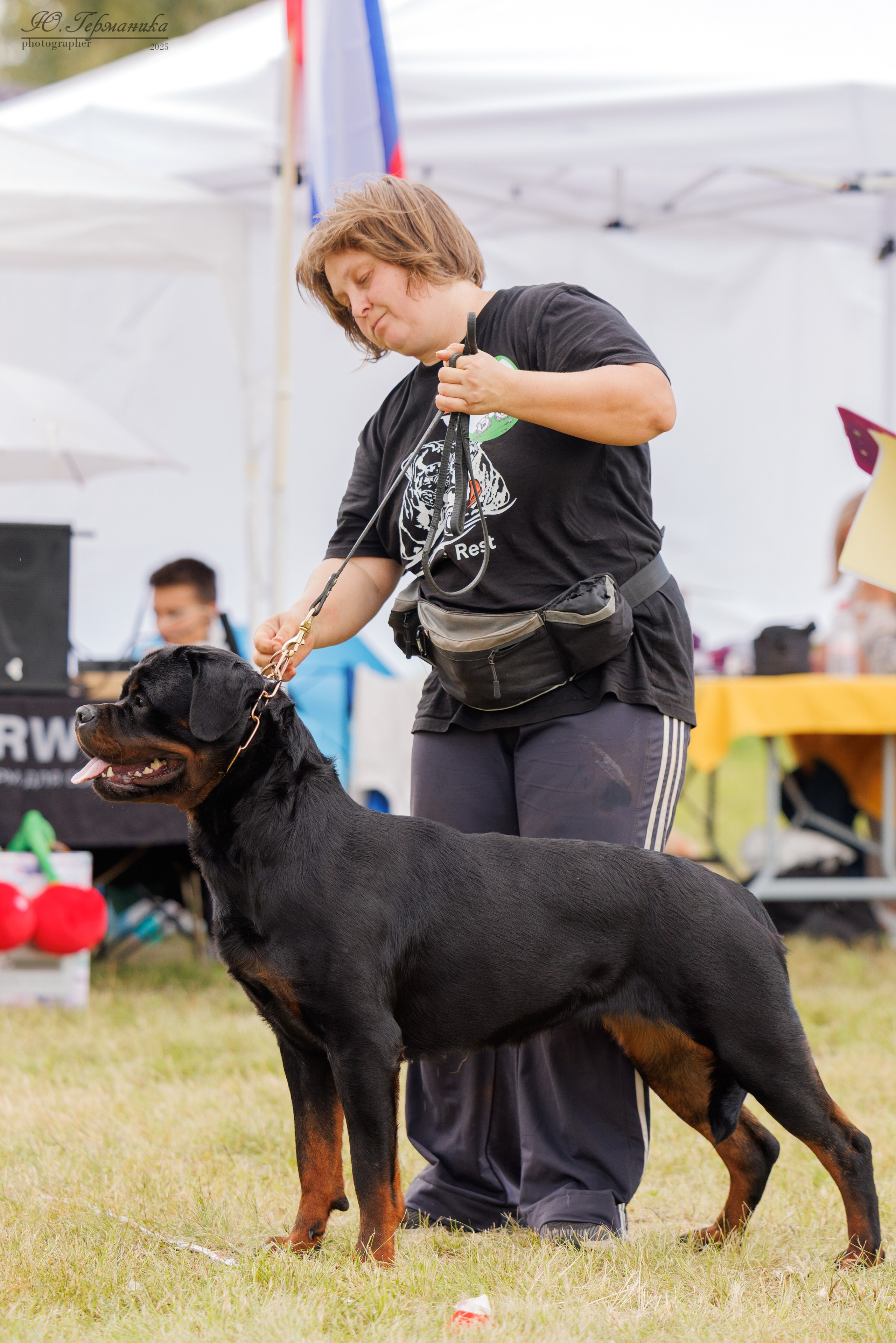 Рязань 2хмоно ротвейлеры 16-17.08.2025. Фотограф-анималист Юлия Германика