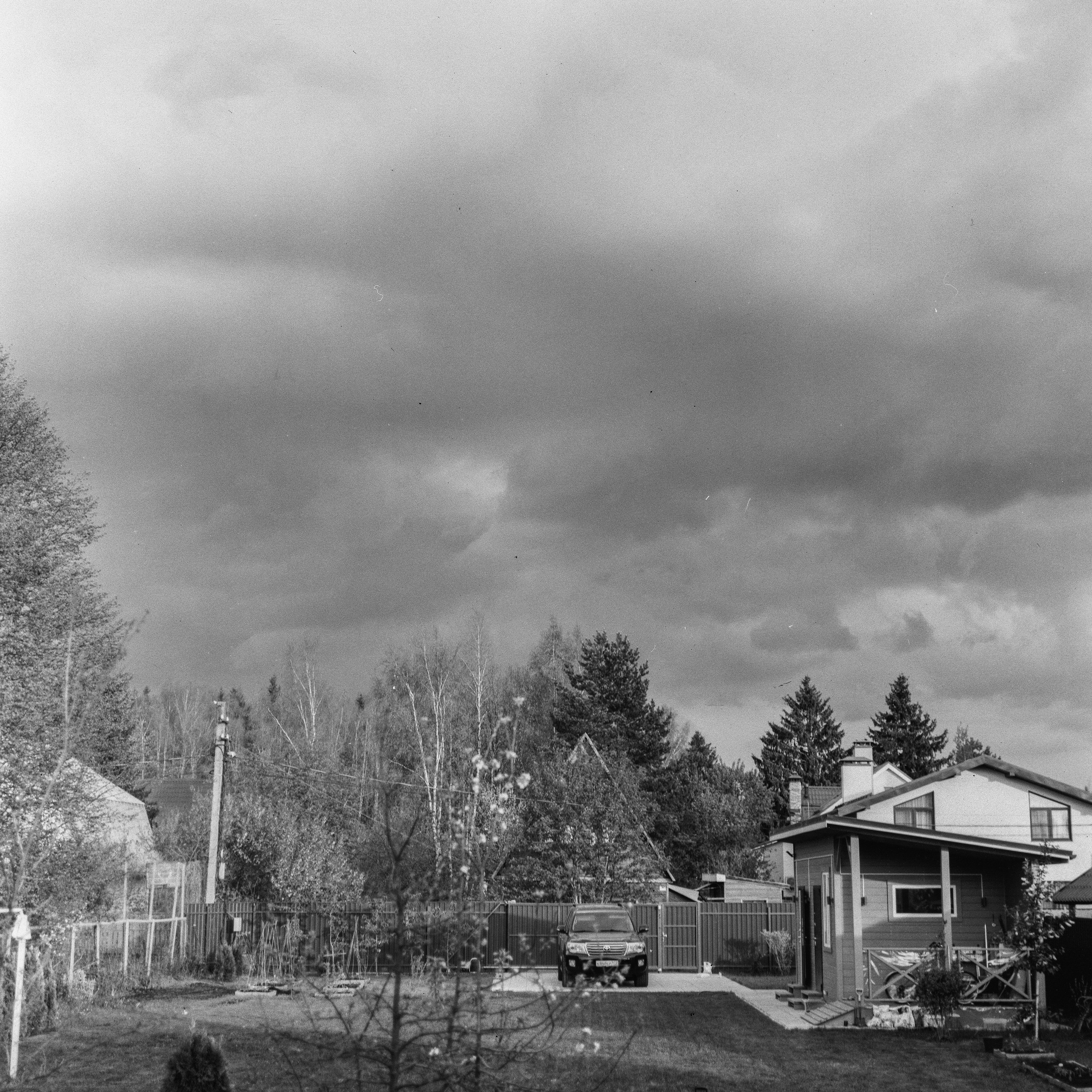 Zanza Bronica S2A — Nikkor-P 75 mm f2.8 | Shanghai P3 100 | Давыдовское 17 мая 2025 года