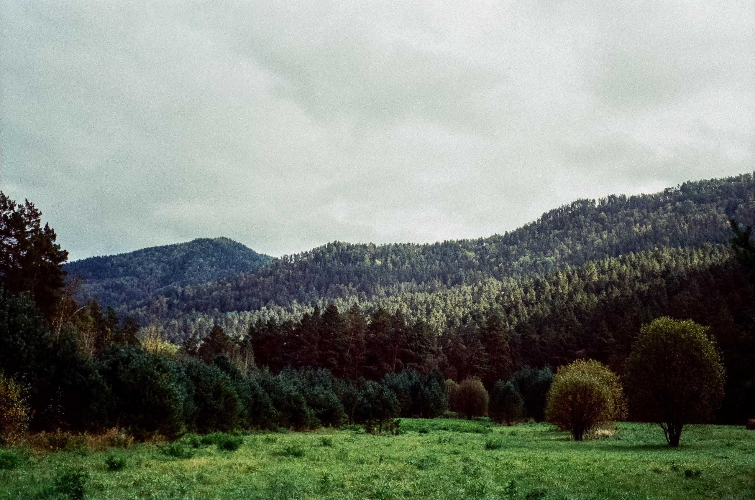 Горно-Алтайский ботанический сад / 13 сентября 2024 года / Minox 35 GT / SFL 250D