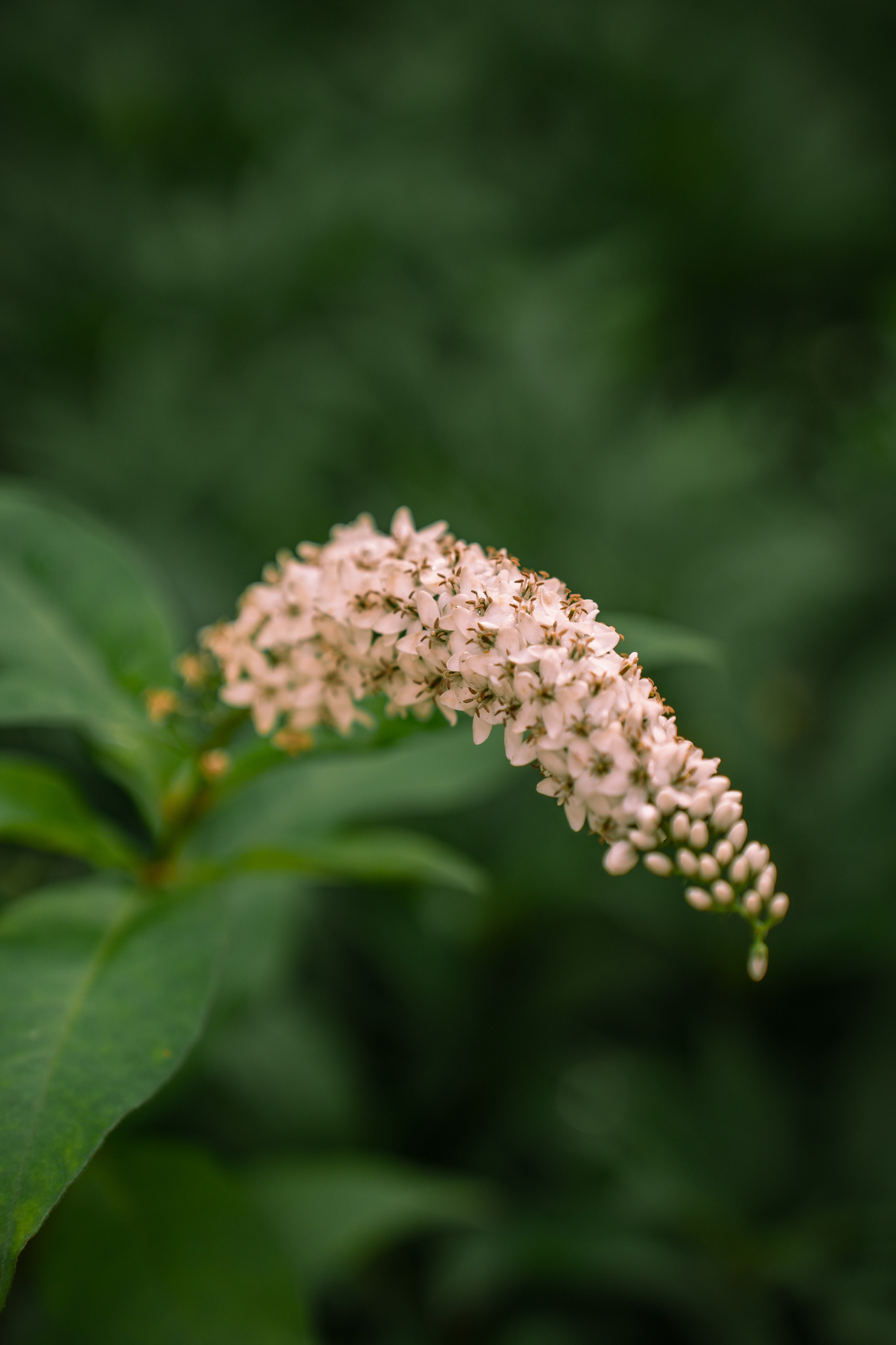 ATMOSPHERE. Фотограф Юрина Ксения Москва