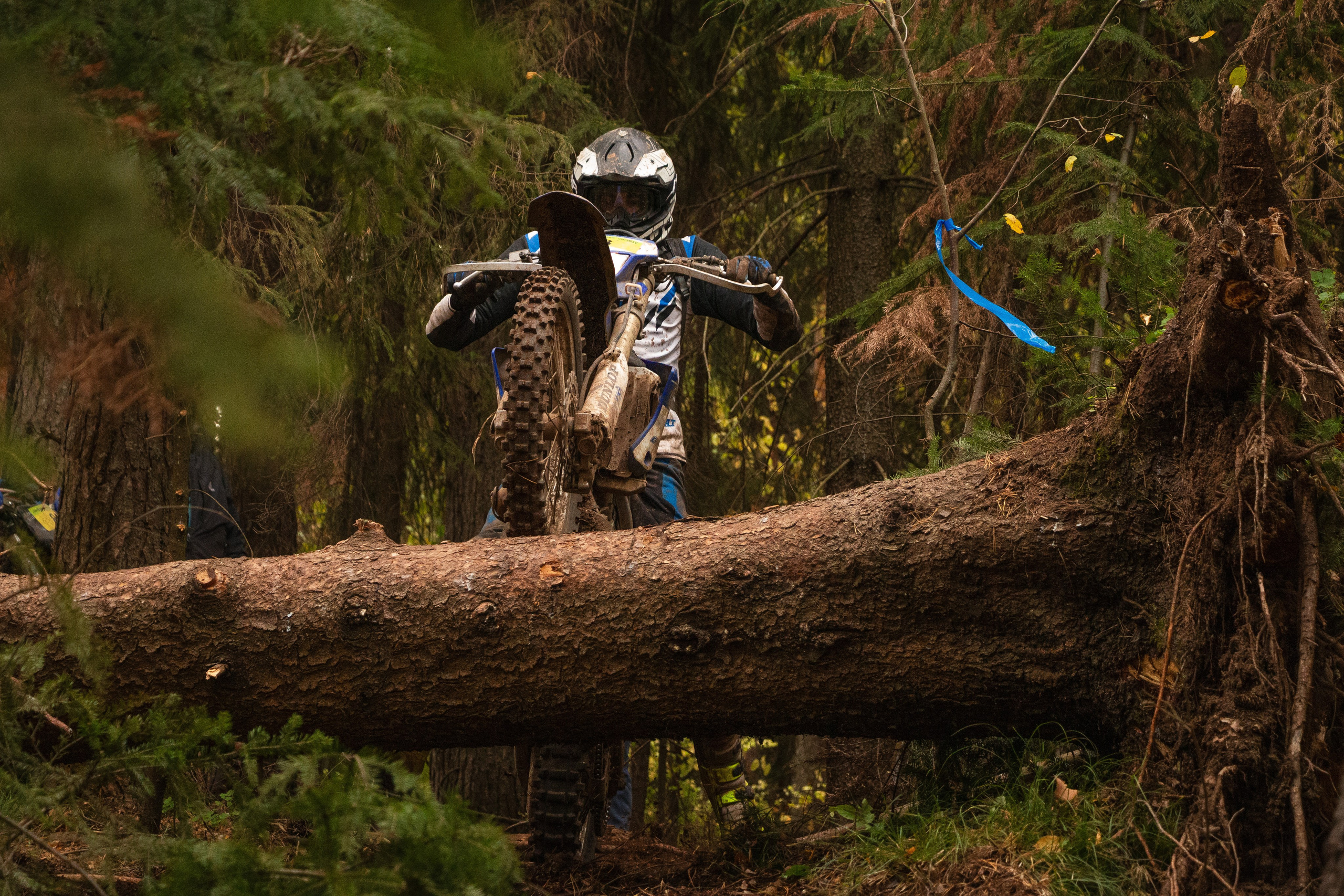Путь Ижика. 2024. Олег Романов. Мастер фото по спорту