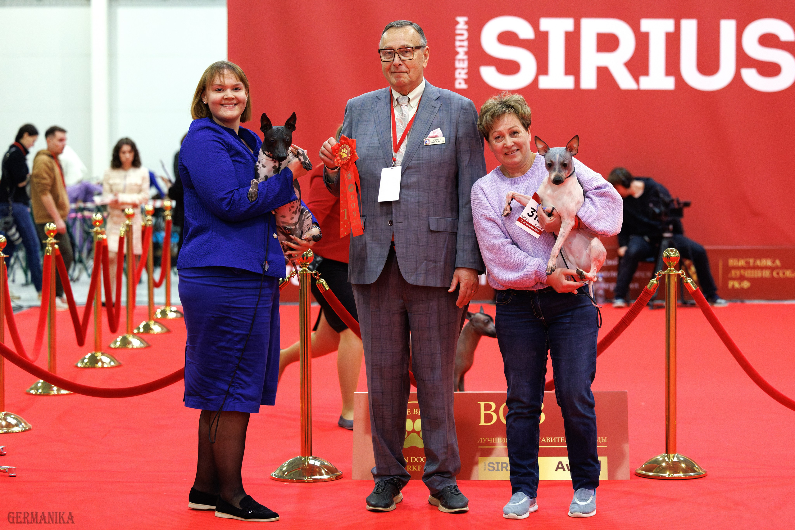 Лучшие Собаки России 17-18.02.2024. Фотограф-анималист Юлия Германика