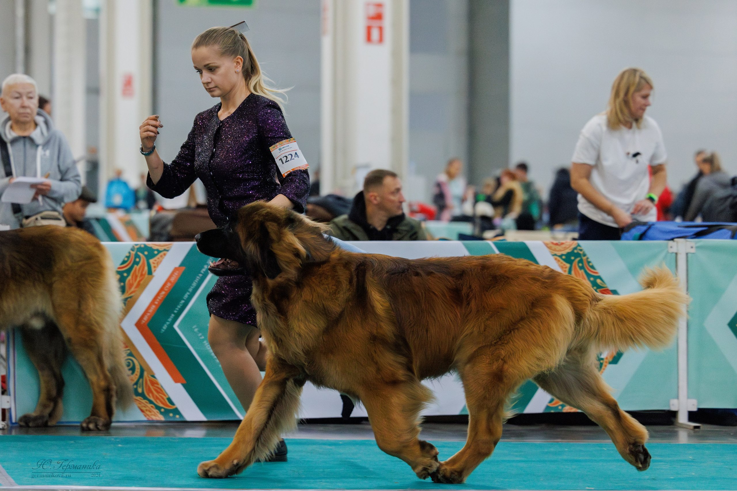 Евразия 16-17.11.2024. Фотограф-анималист Юлия Германика