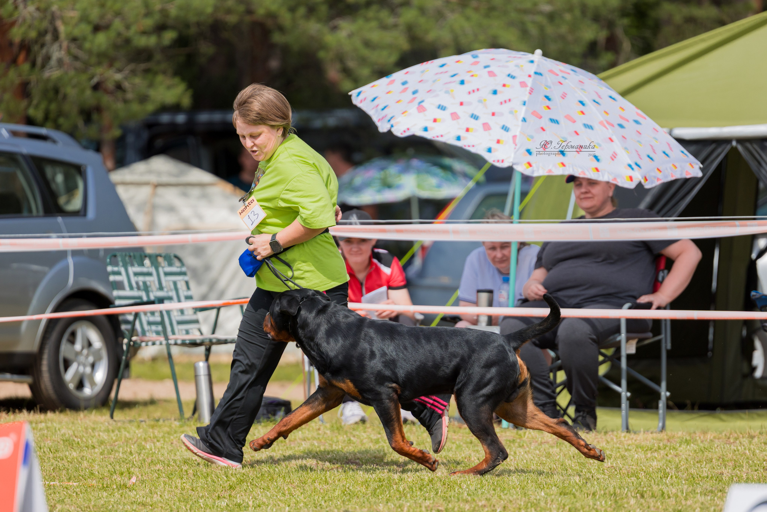 Тверь ротвейлеры 5-6.07.2025. Фотограф-анималист Юлия Германика