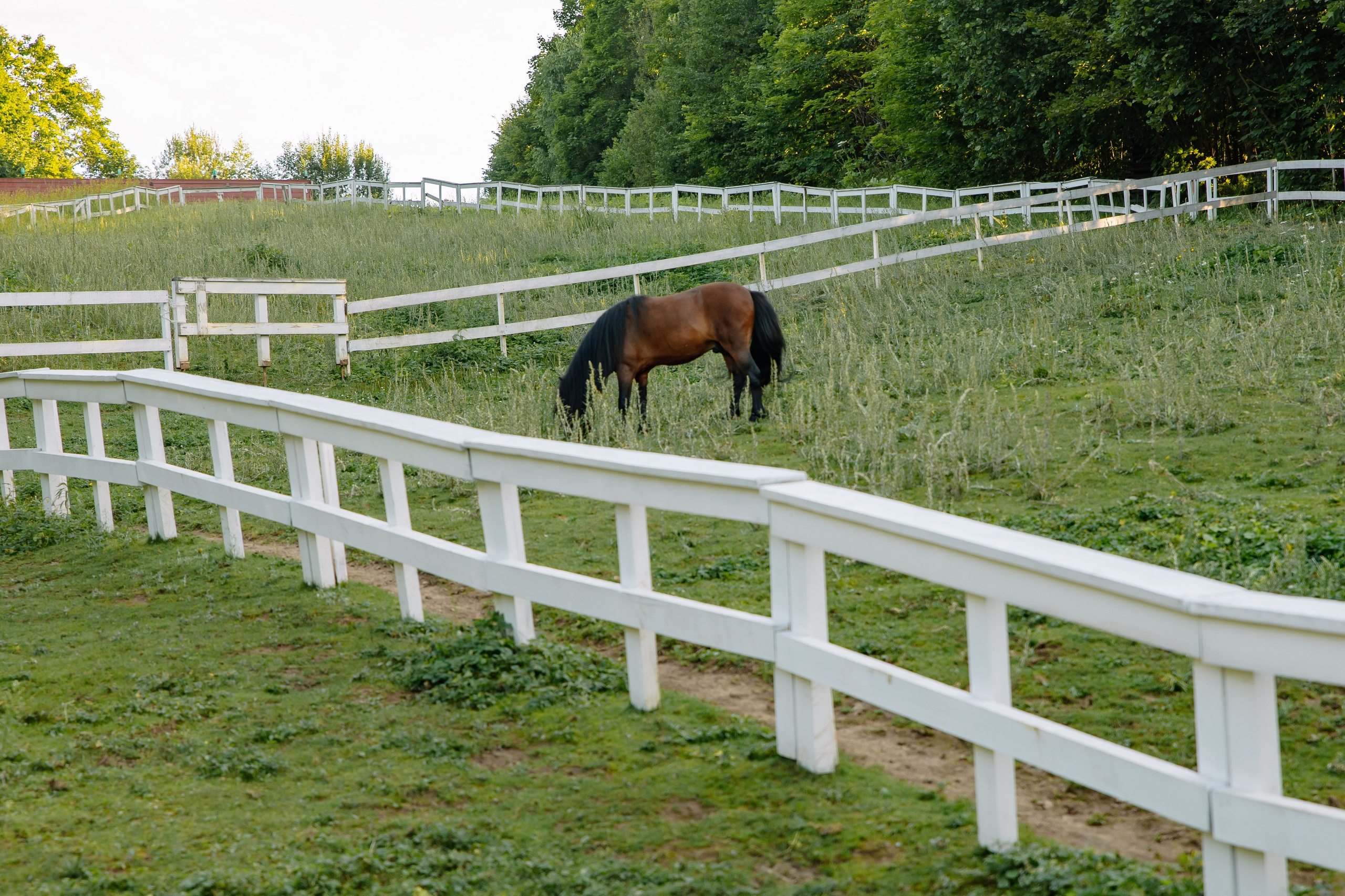 In the Countryside. Фотограф в Москве Яна Полосина