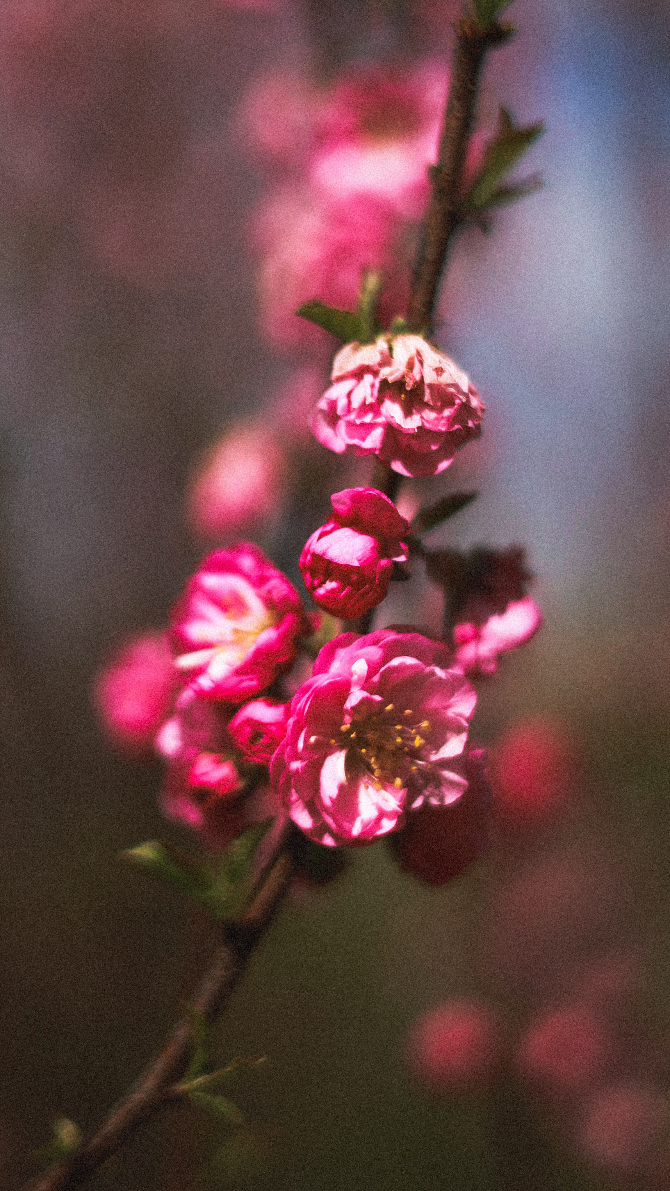 Все, что вокруг меня. Фотограф Евгения Ошкина, Саранск
