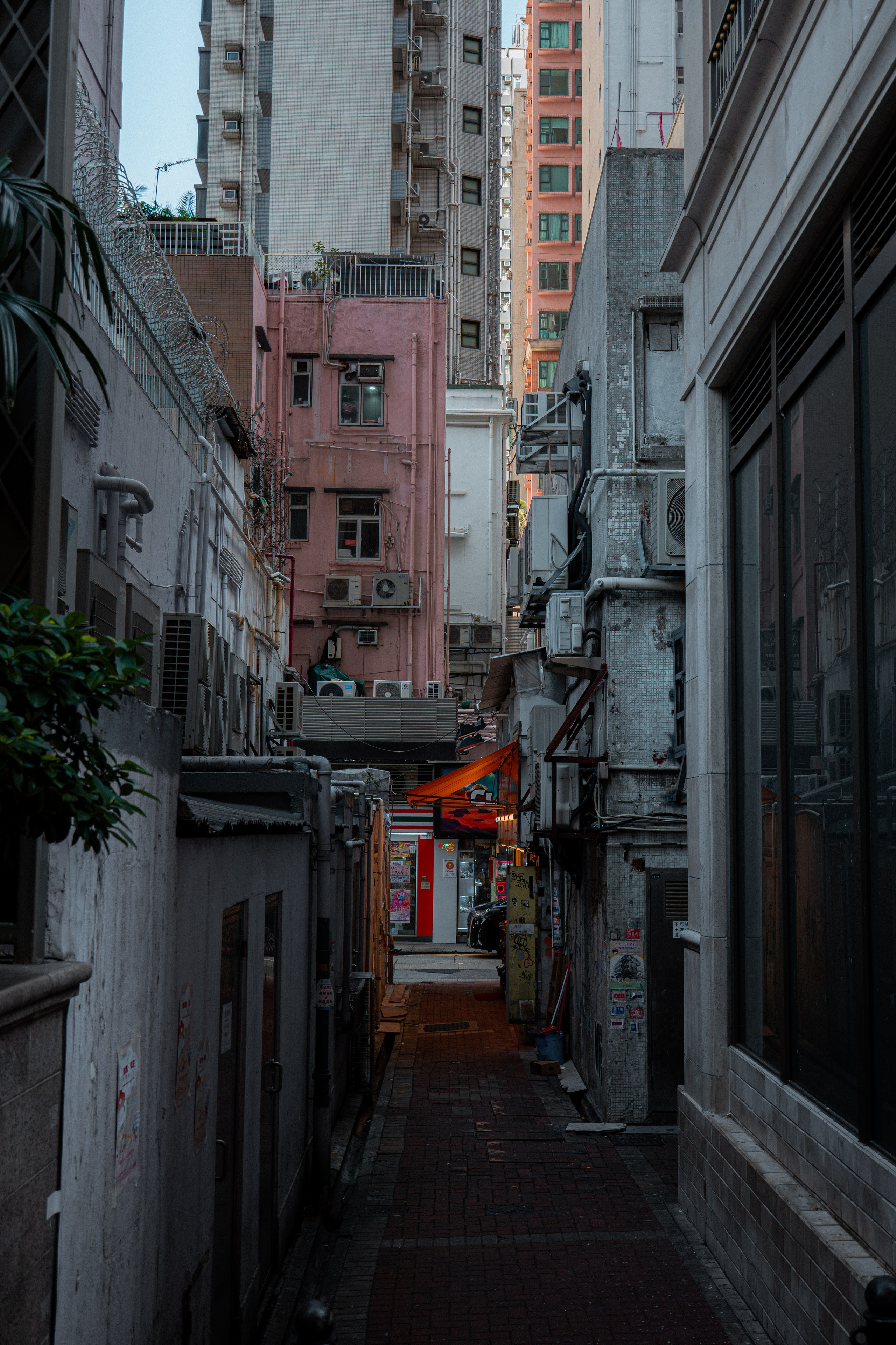 ГОНКОНГ 2026. Фото| Видео продакшн | Александр Ярков