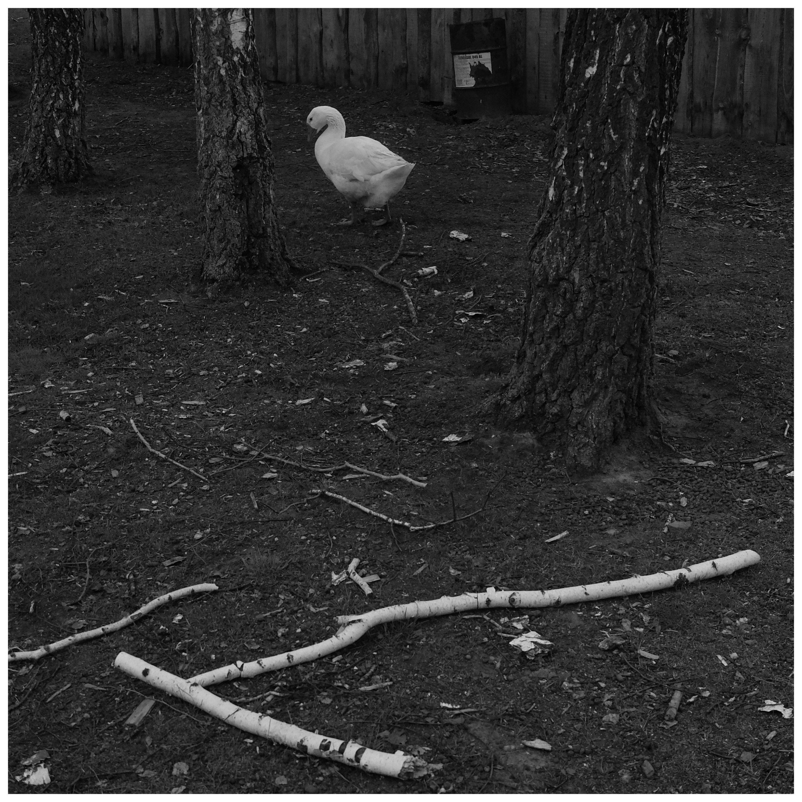 Промежуточные моменты (2022)