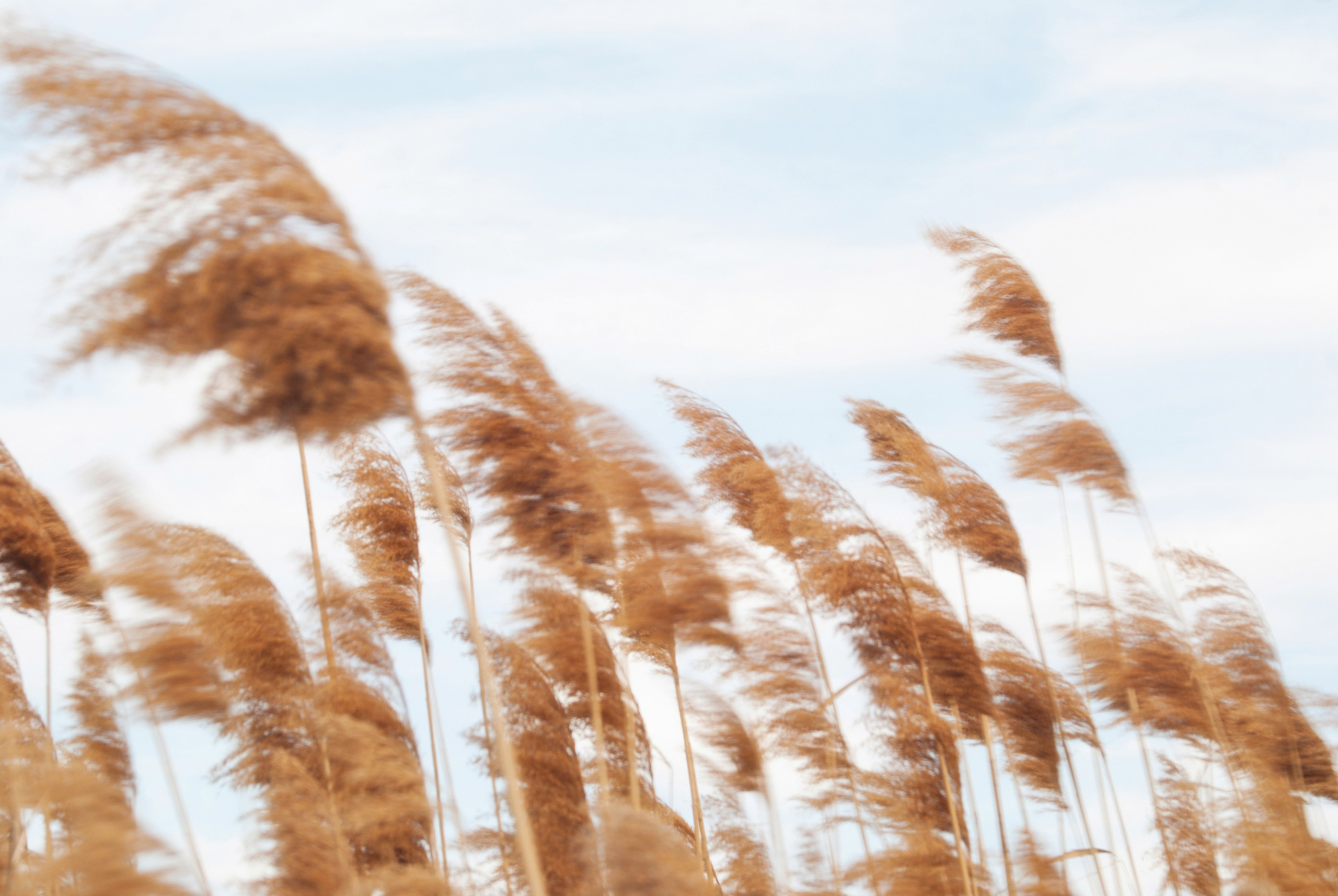 Этот прекрасный мир