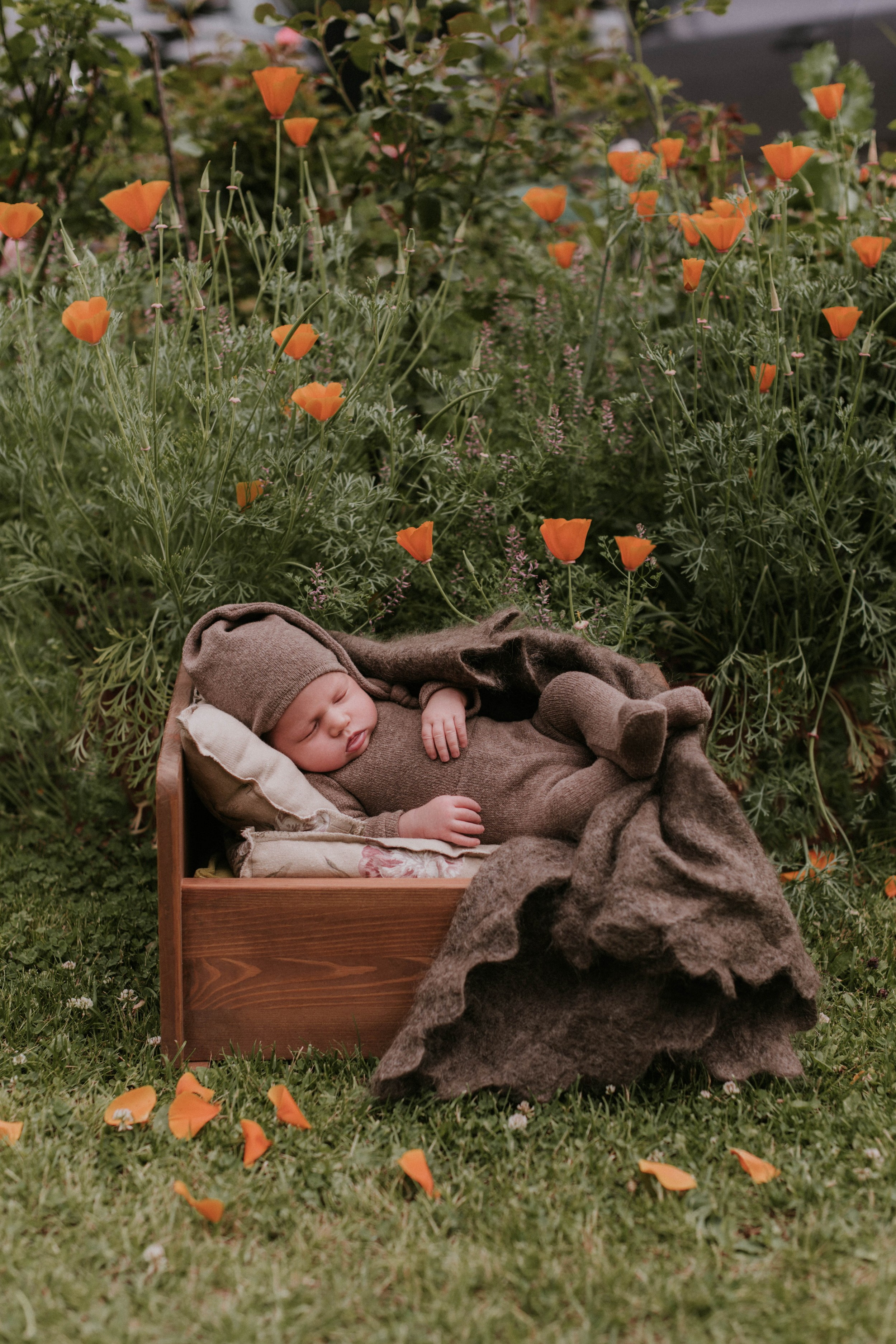 Младенцы. Семейный фотограф в Москве Полина Ситникова