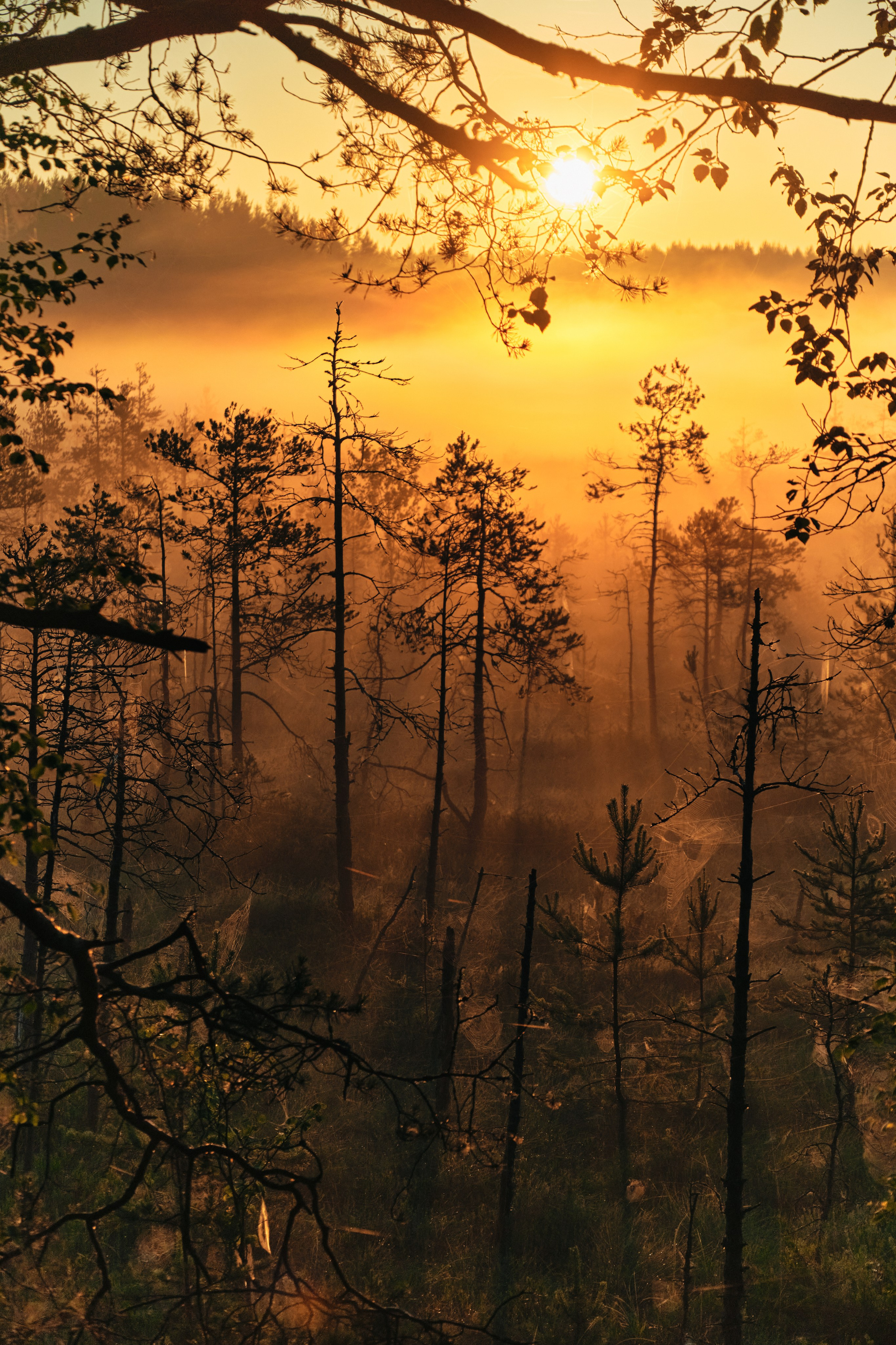 Северные дневники. Алиса Северная. Визуальные исследования. Пейзажная и документальная фотография