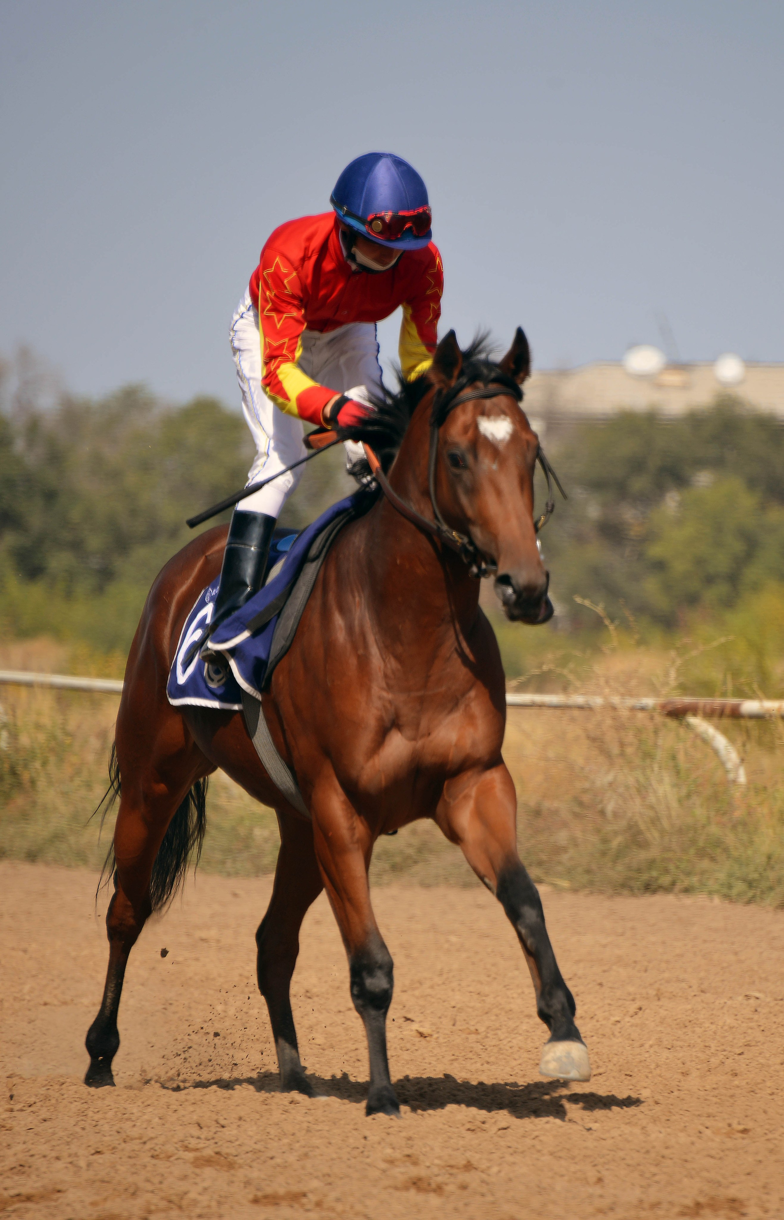 Скачки. Фотосъёмка. Фотограф Сергей Авдеев-семейный и детский фотограф в Алматы