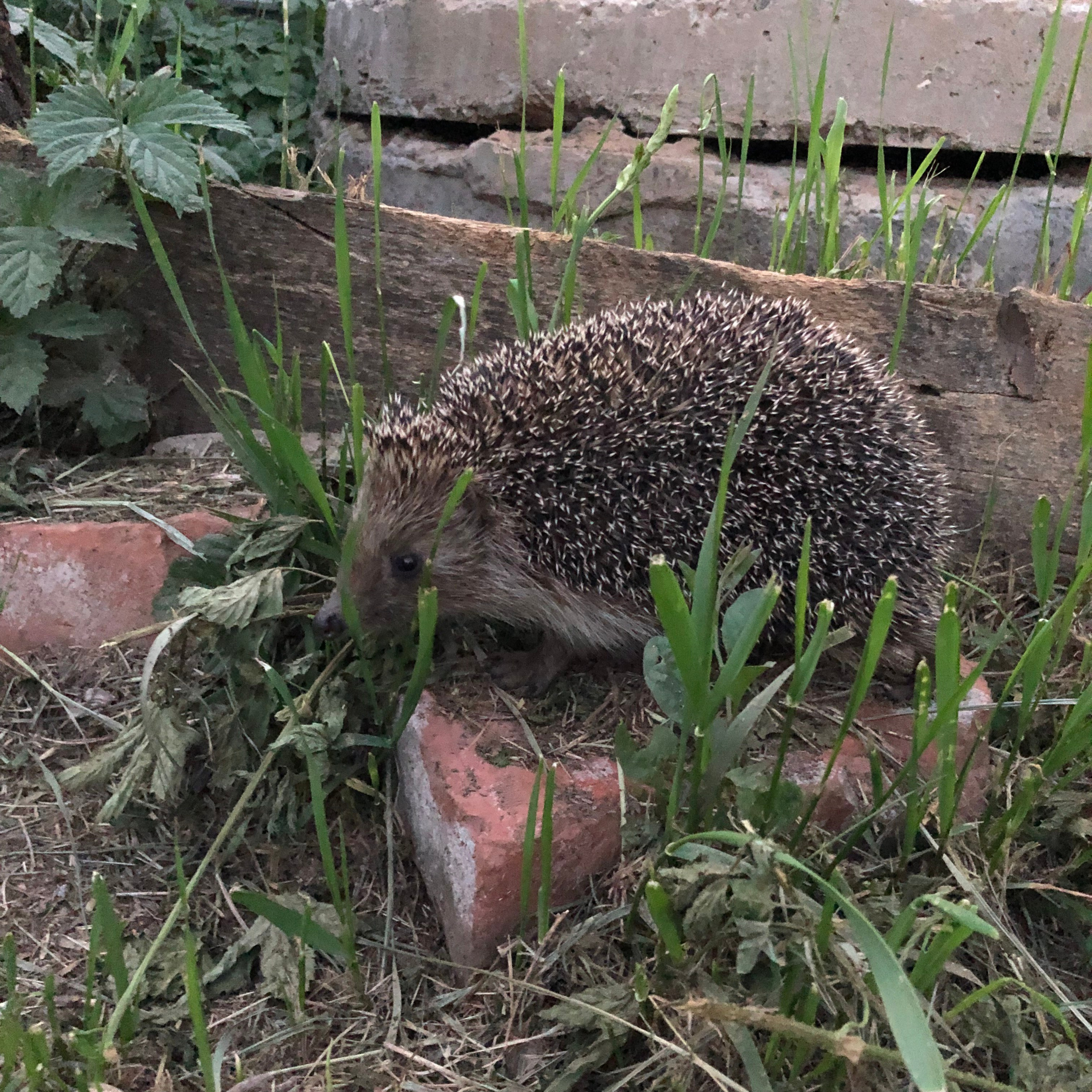 Визуальный дневник. Портретный фотограф в Москве Гахраманова Екатерина