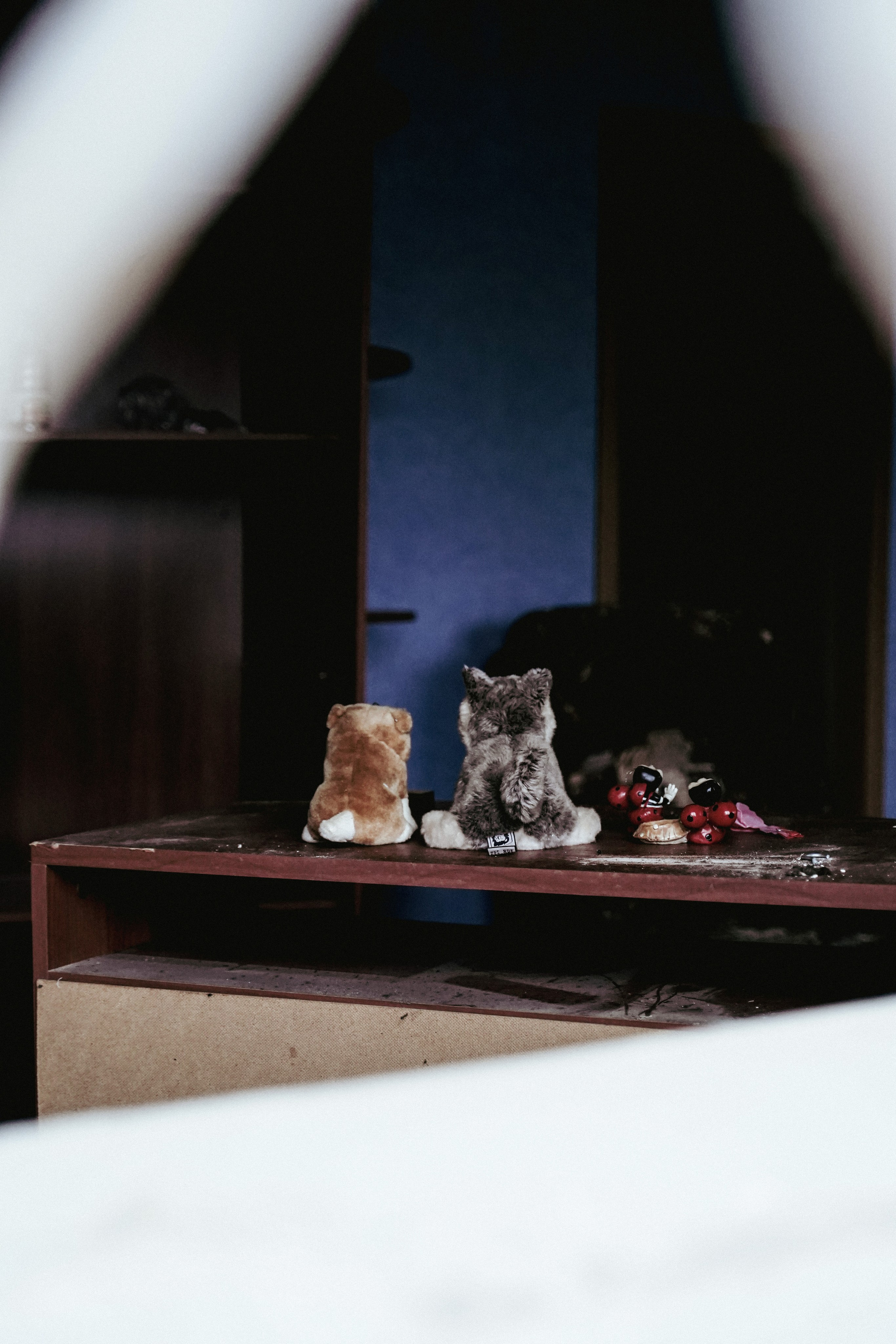 Уличная Съемка (3). Видео и Фото