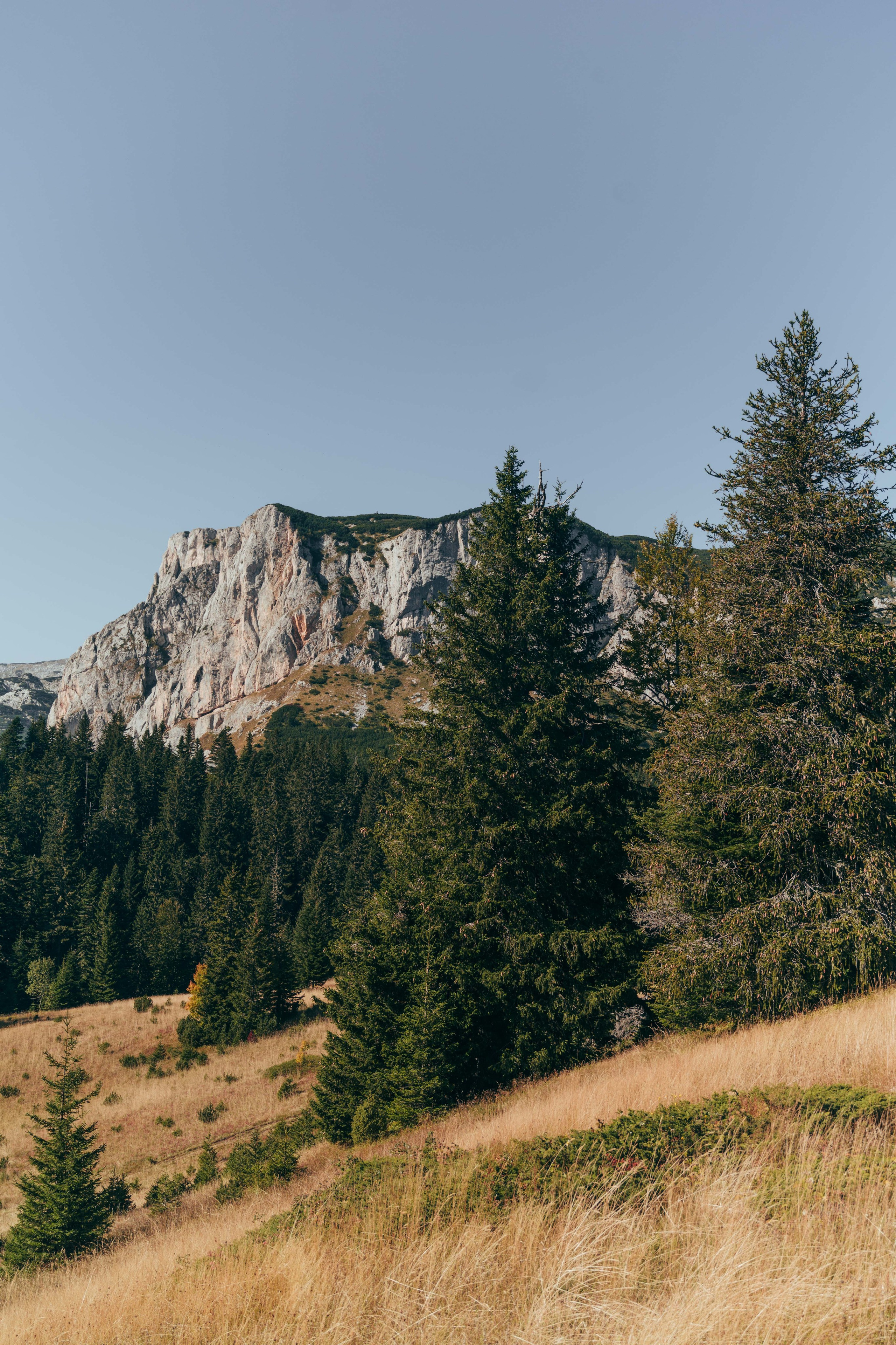 ЦРВЕНА ГРЕДА. ЧЕРНОГОРИЯ. Фотограф в Белграде Чугреева Елена