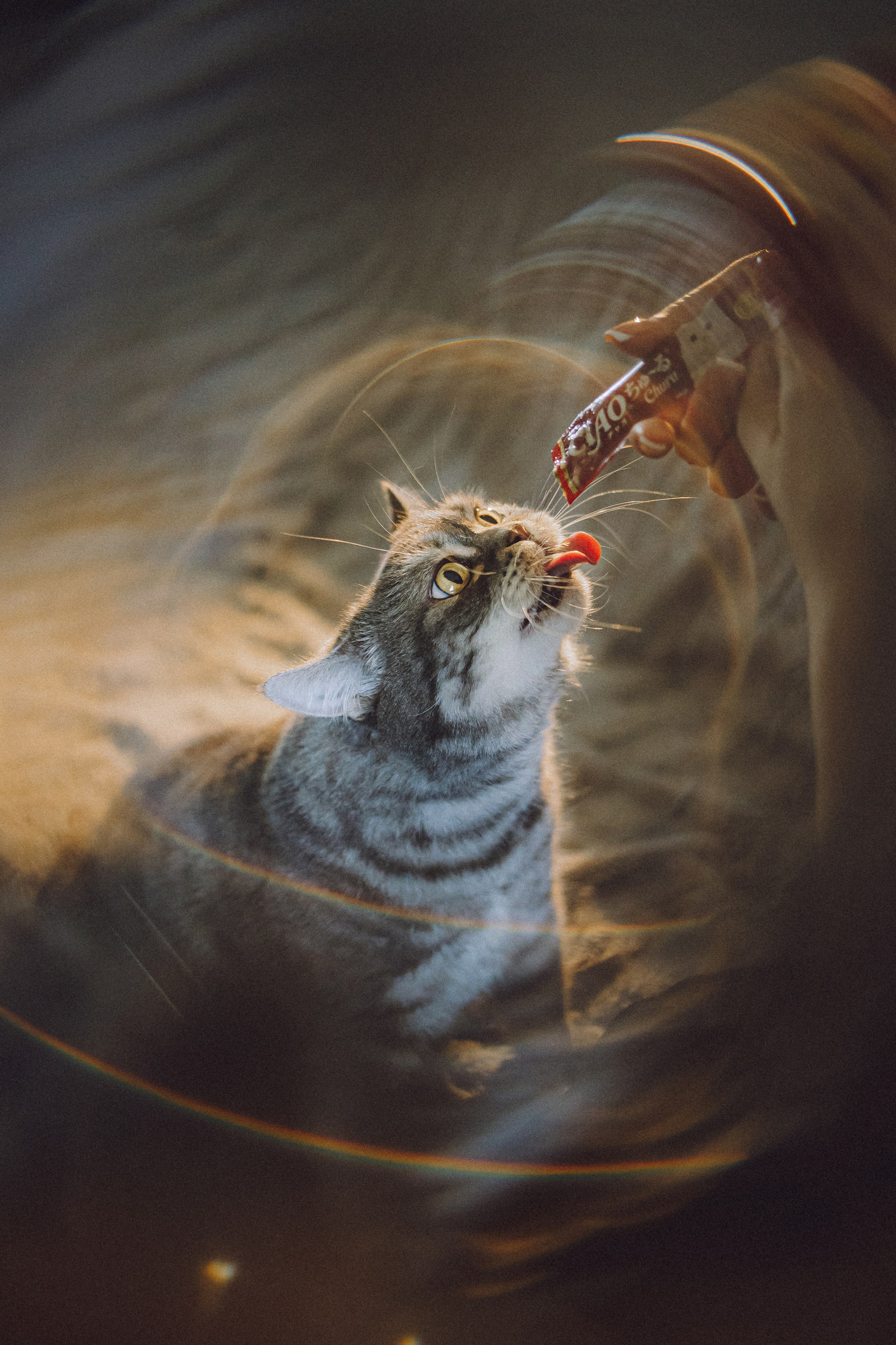 Яся и ее семья