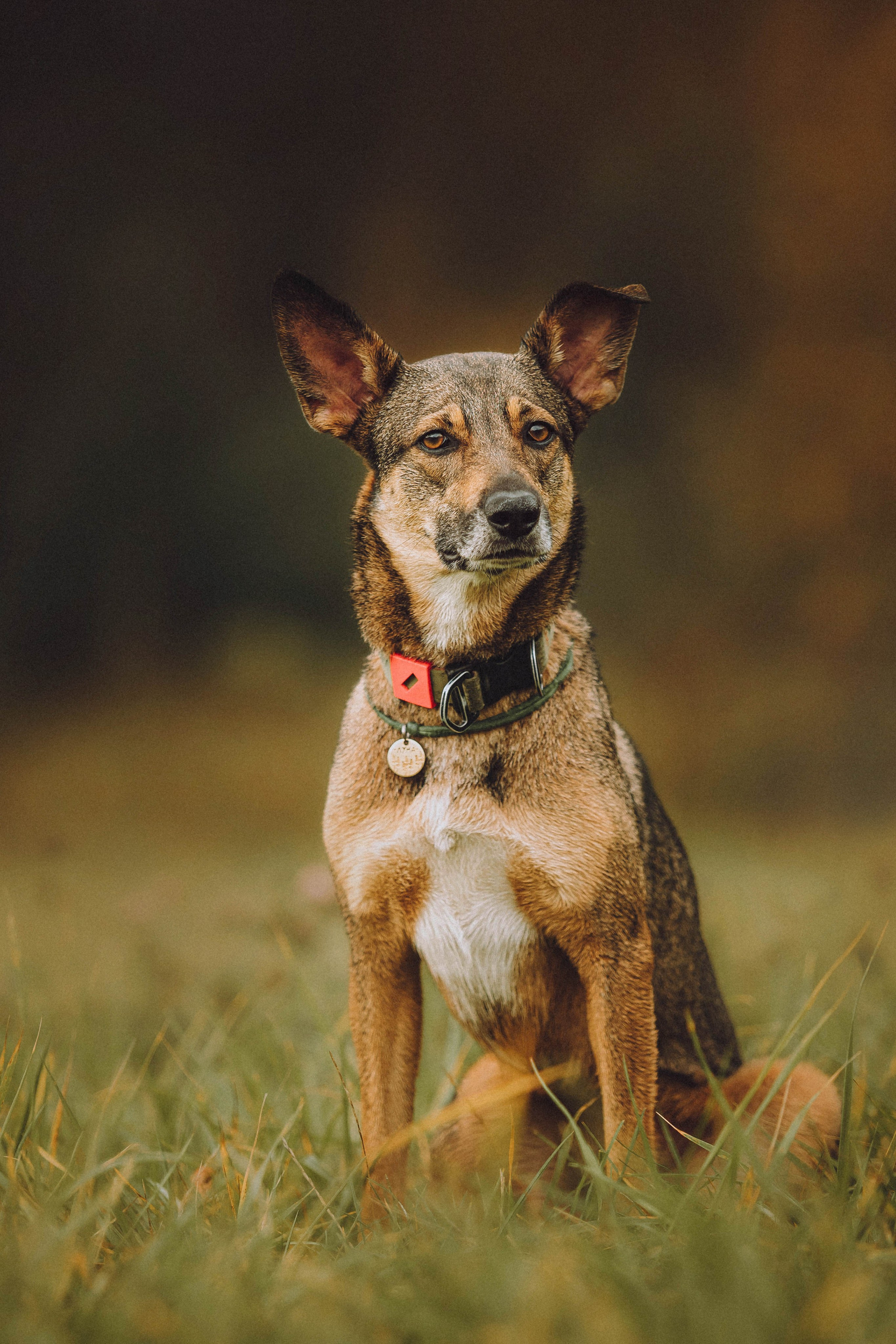 Аня, Нео и Луна